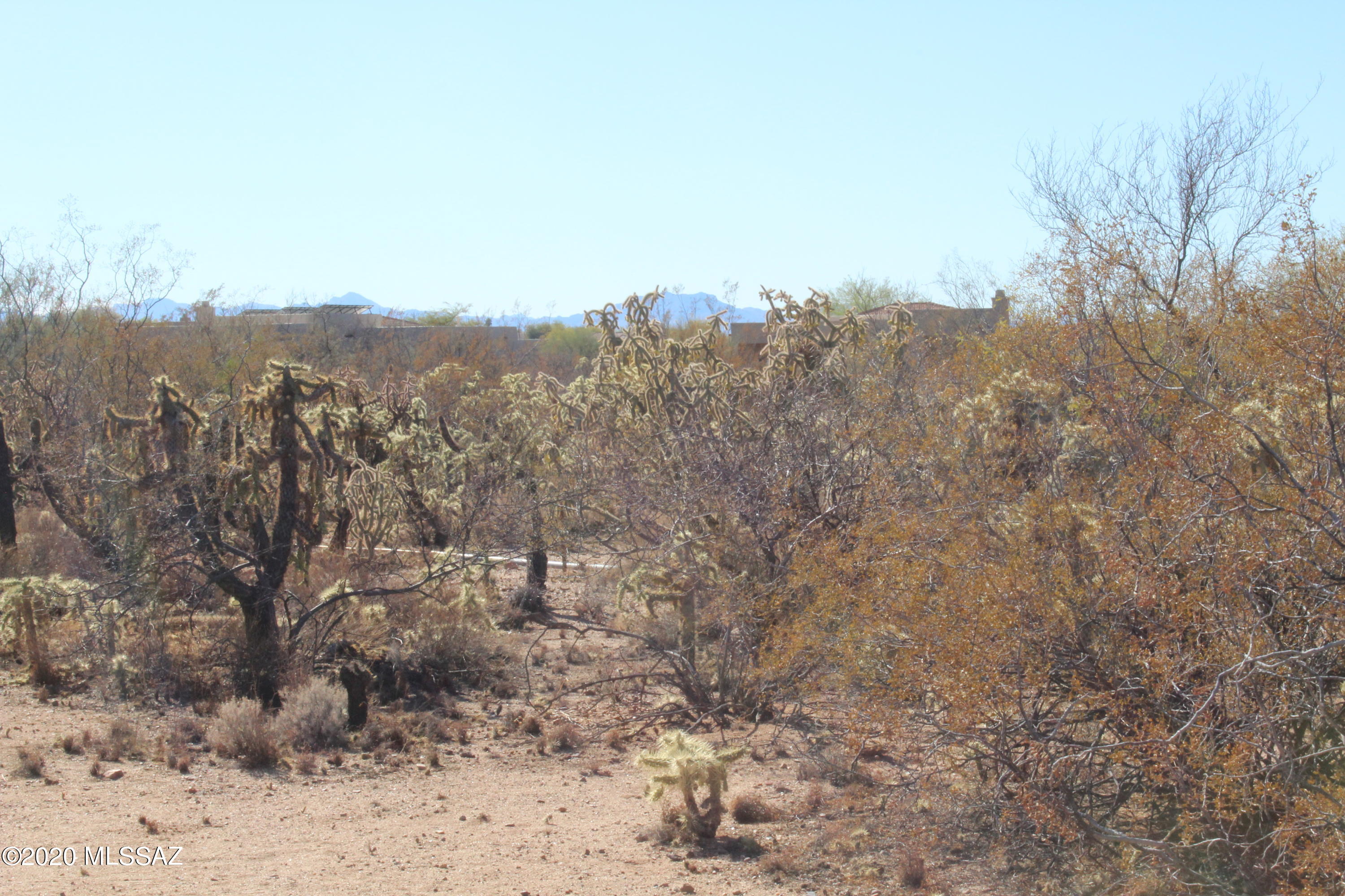 Madera Reserve Phase II (131-263) - Land