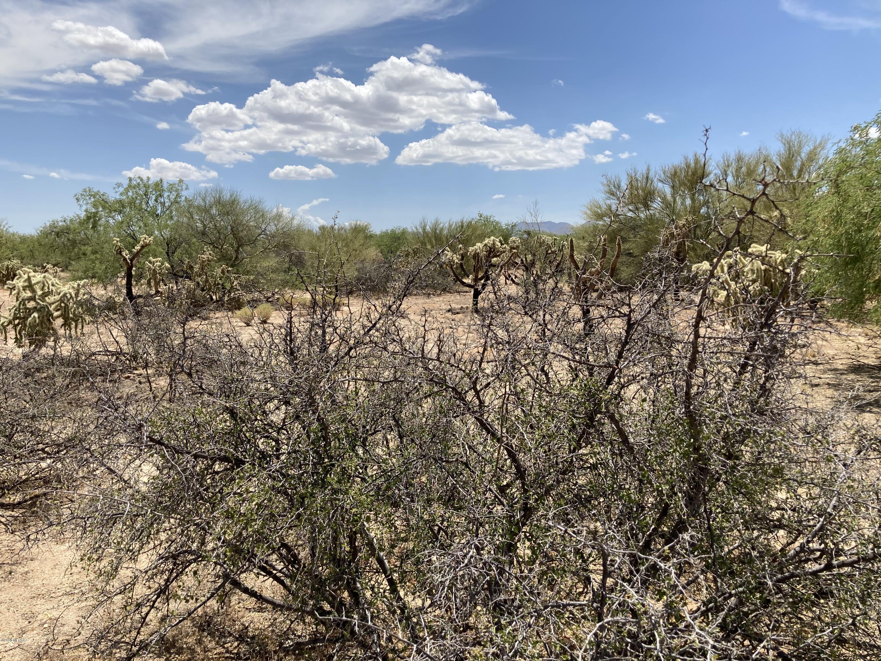 Diamond Bell Ranch - Tucson (1-229) - Land