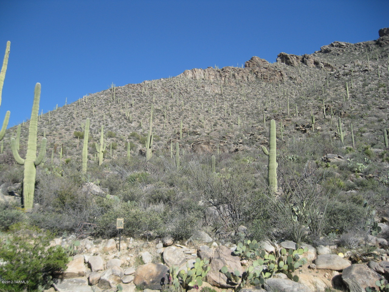 Canyon Pass II At Dove Mountain (49-110) - Land