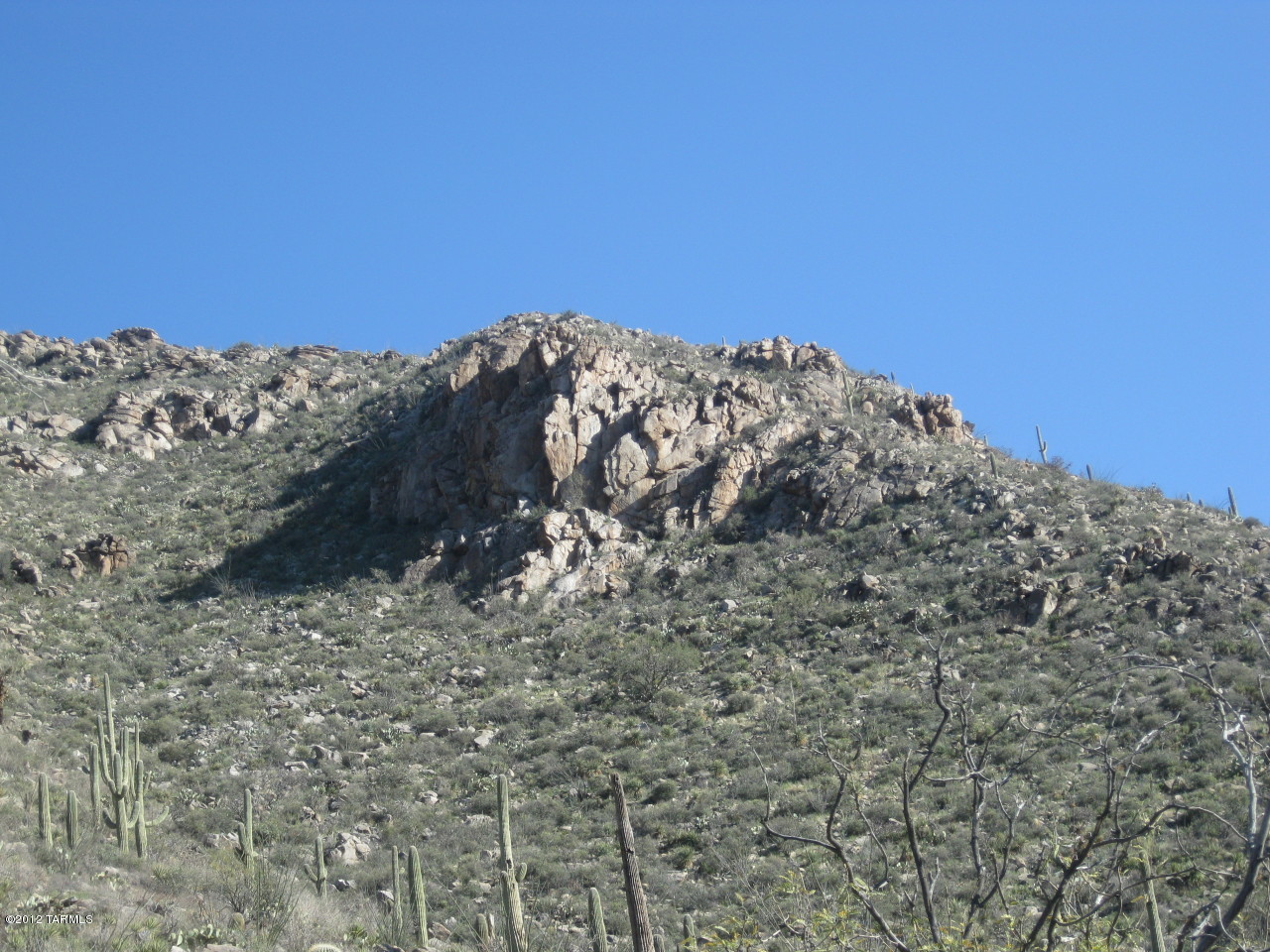 Canyon Pass II At Dove Mountain (49-110) - Land