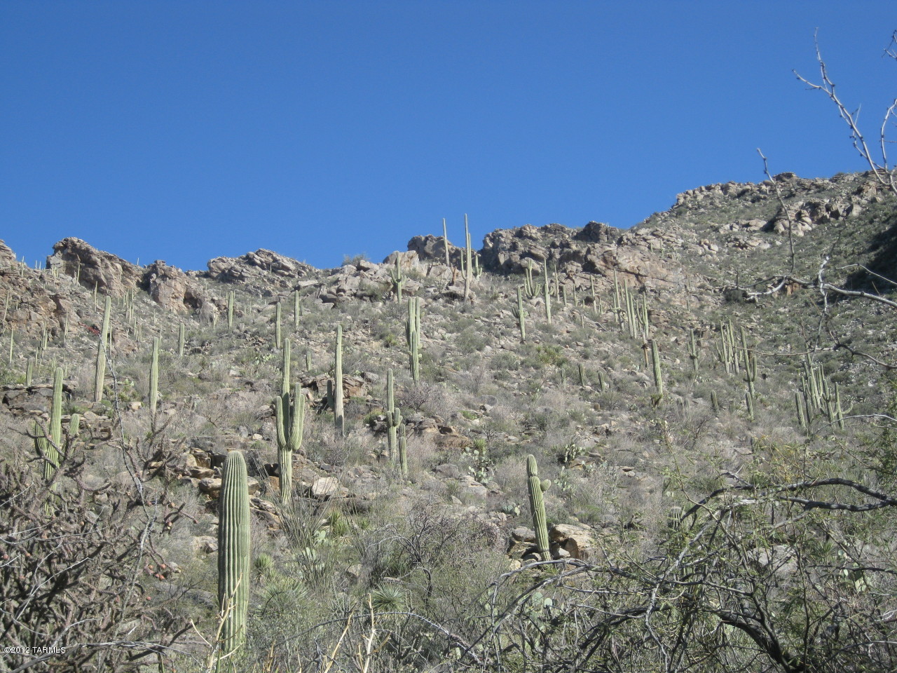 Canyon Pass II At Dove Mountain (49-110) - Land