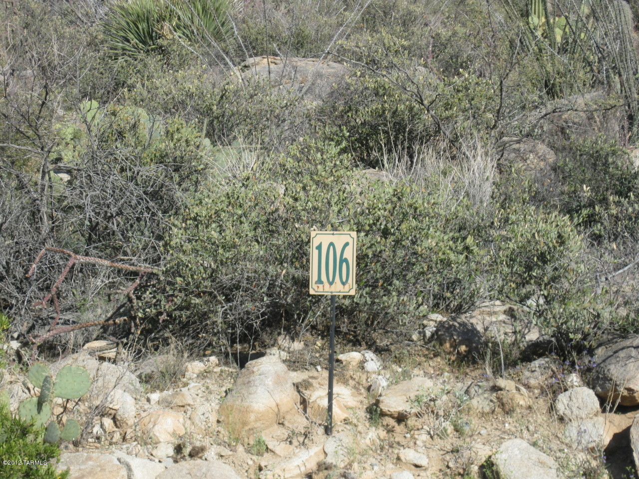 Canyon Pass II At Dove Mountain (49-110) - Land