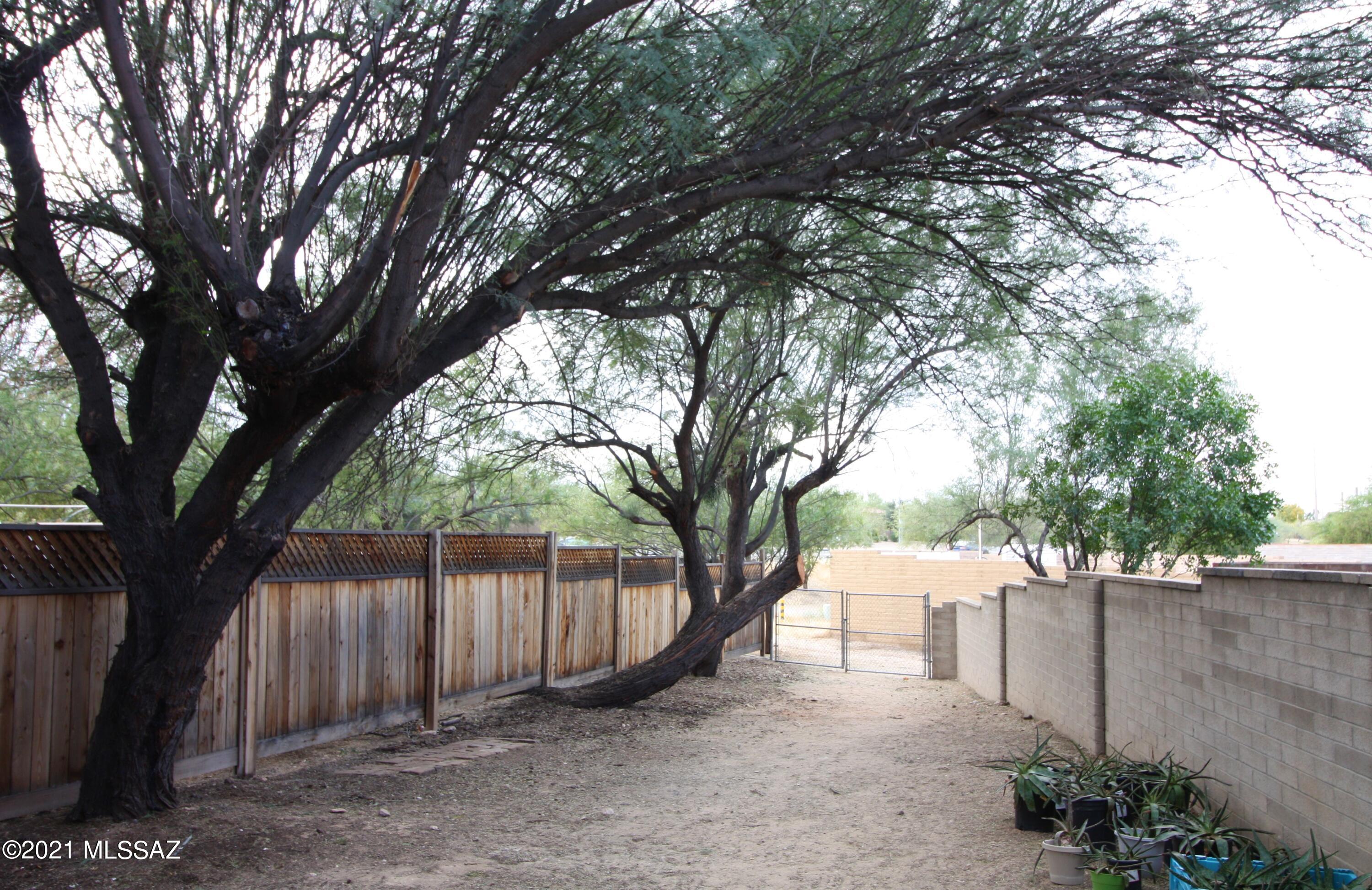 Desert Arbors (1-71) - Residential