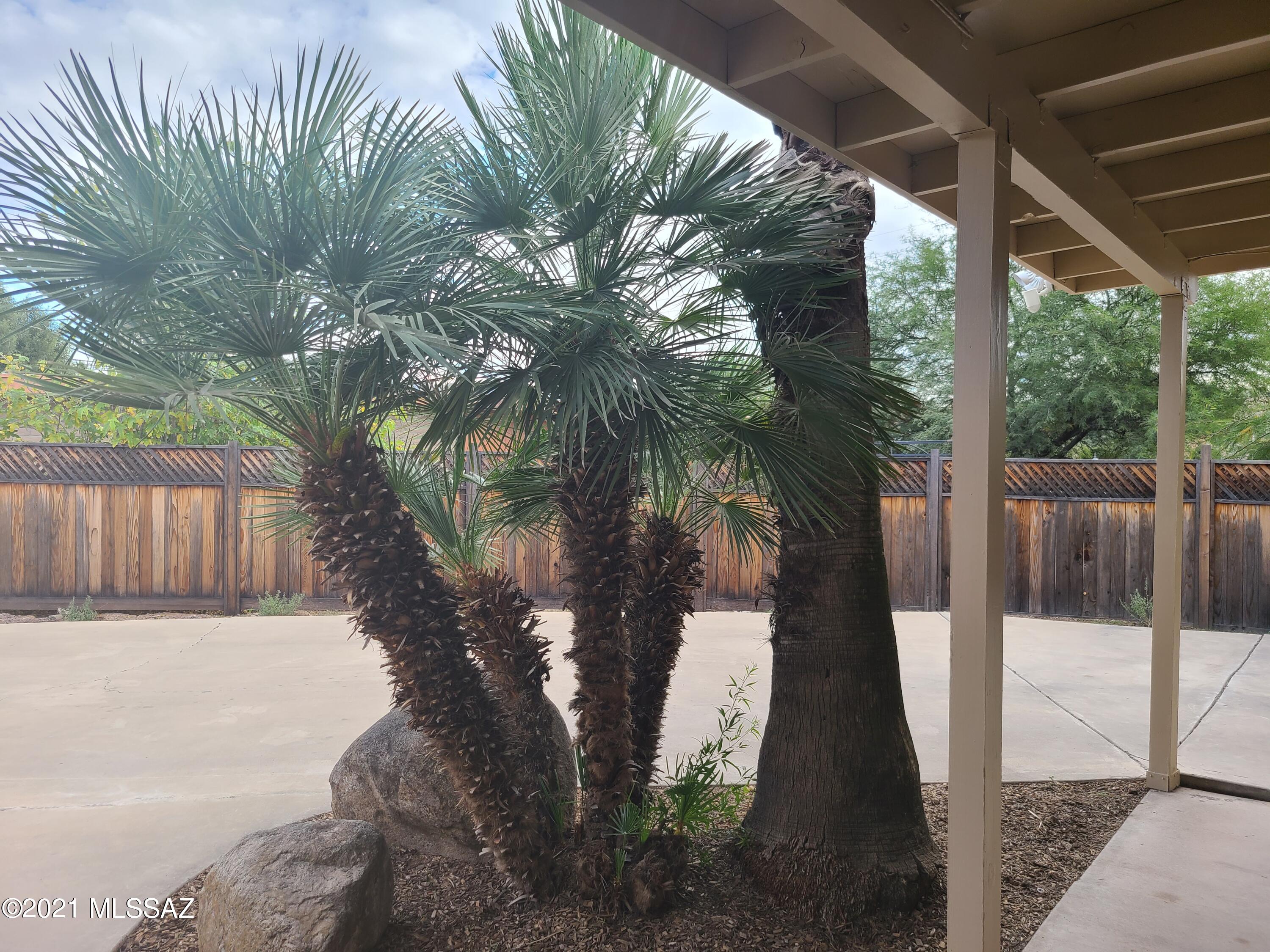 Desert Arbors (1-71) - Residential
