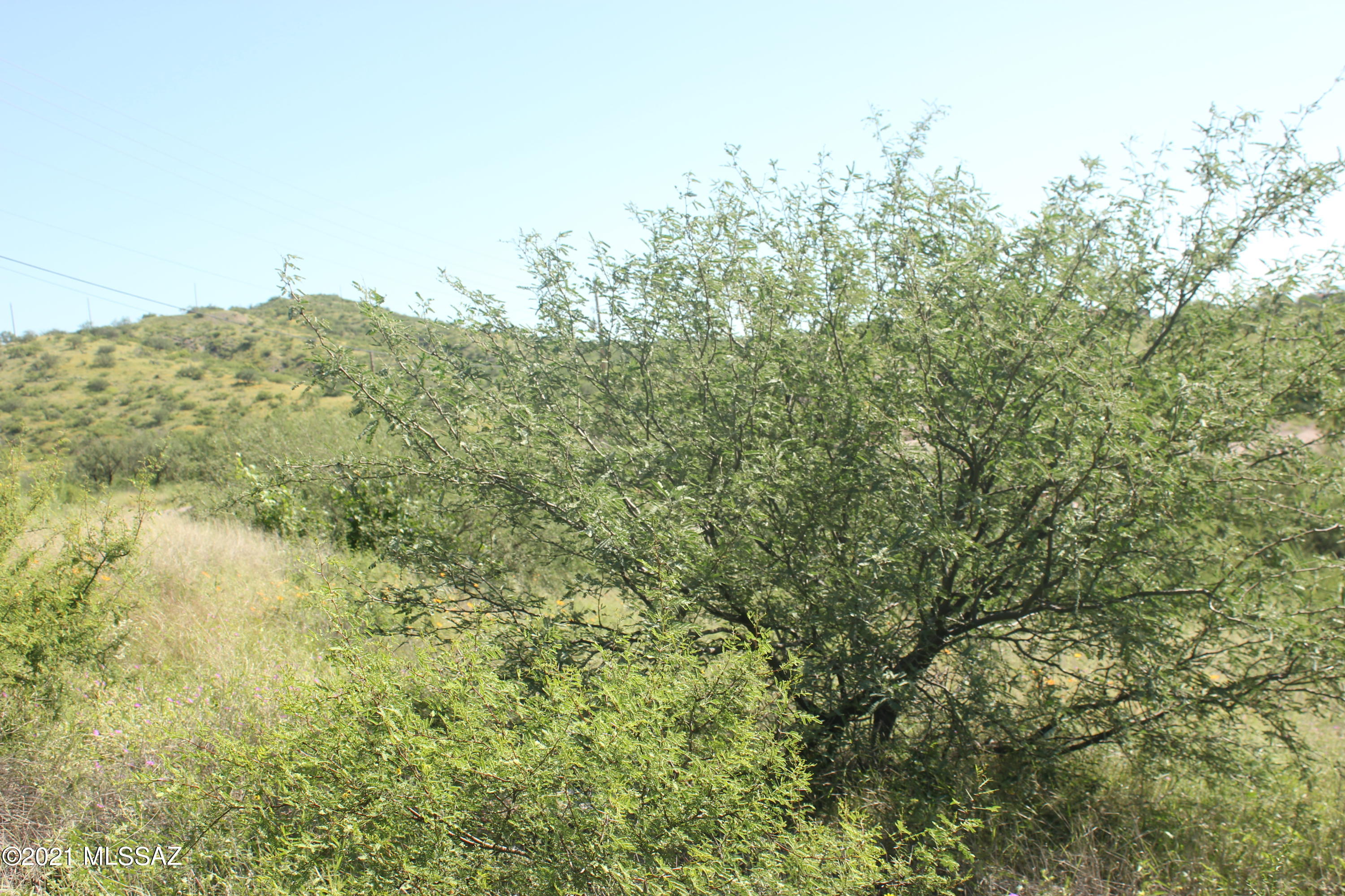 Rio Rico Ranchettes 12 - Land