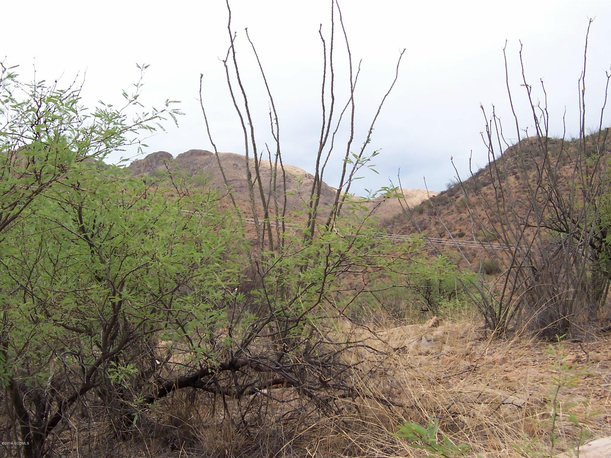 Rio Rico Ranchettes 17 - Land