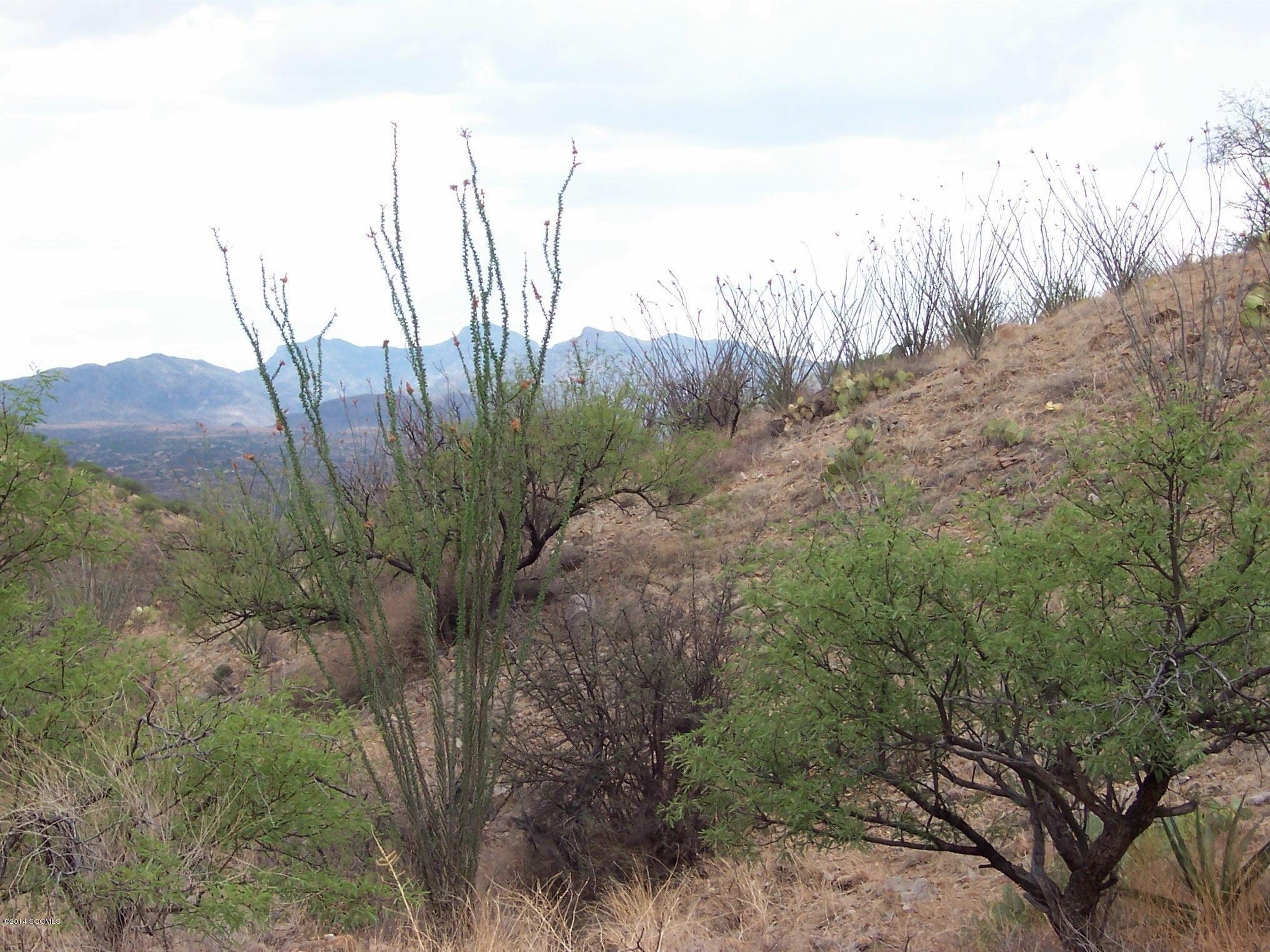 Rio Rico Ranchettes 17 - Land
