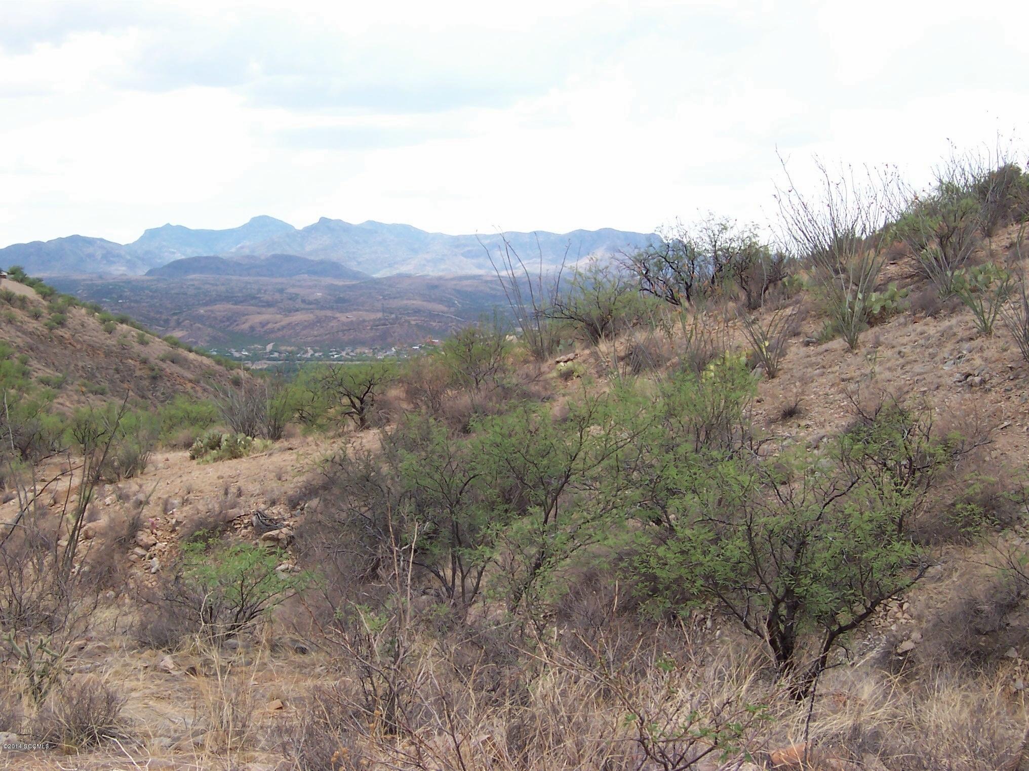 Rio Rico Ranchettes 17 - Land