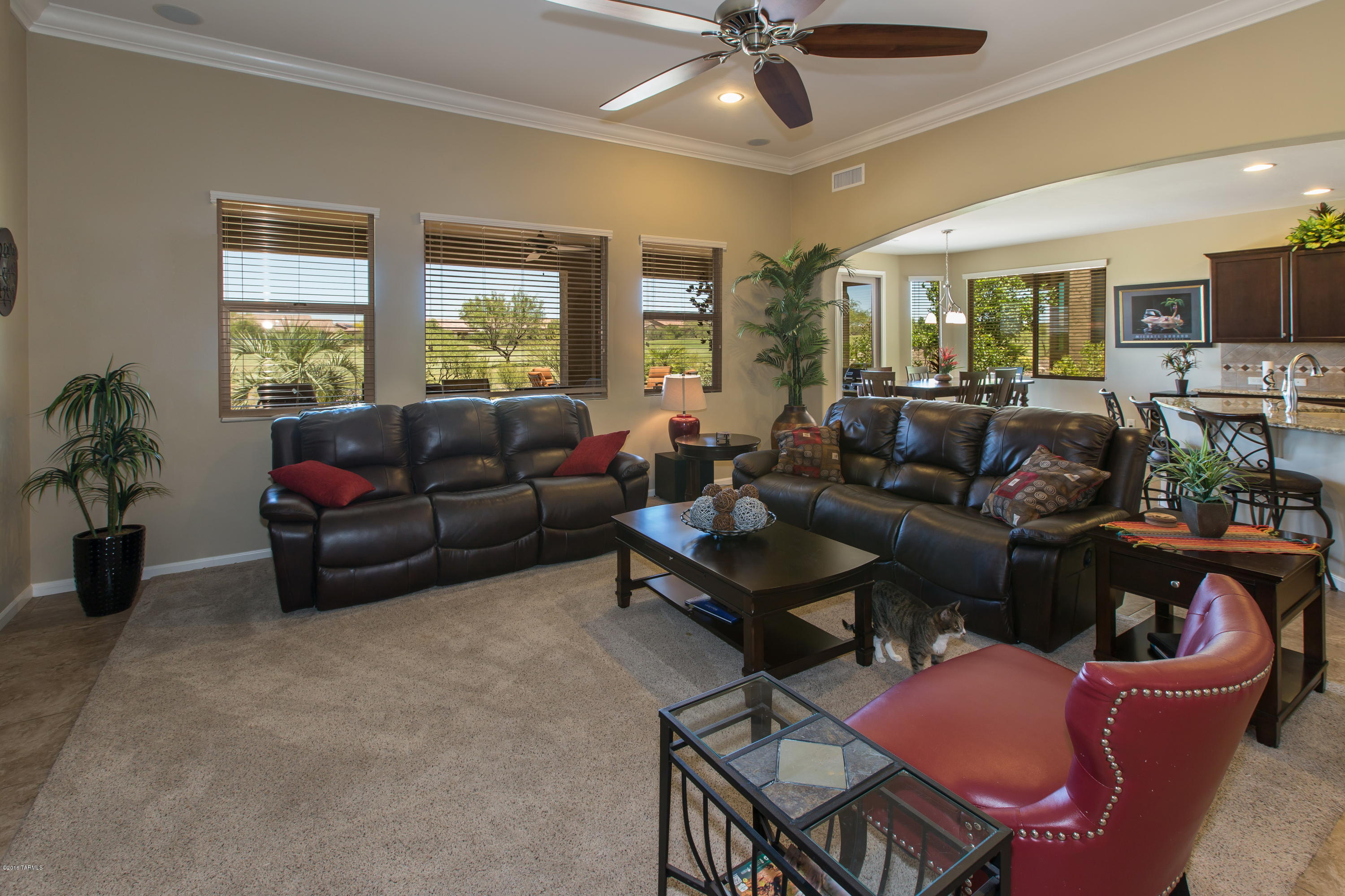 Saddlebrooke Ranch - Residential