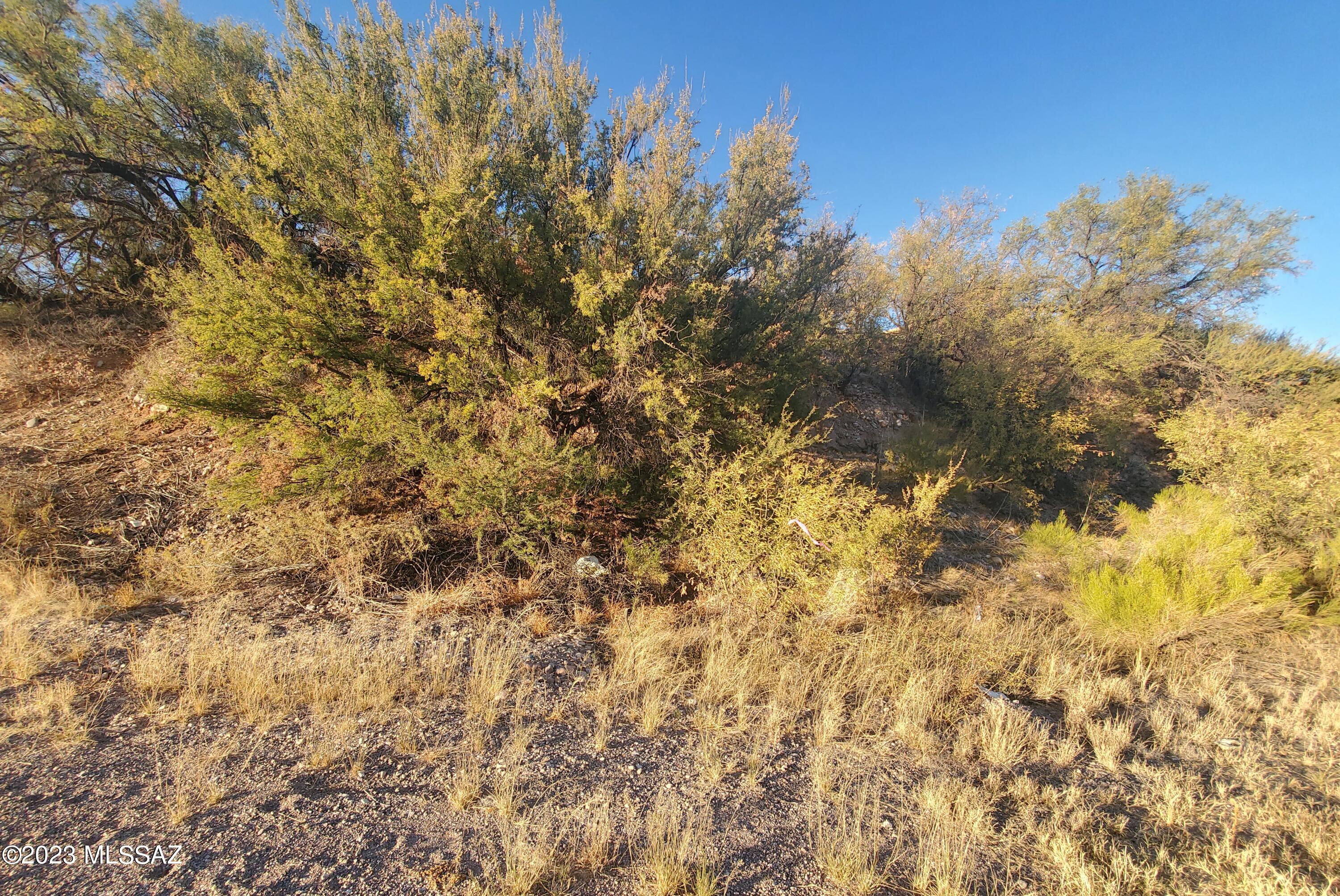 Rio Rico Villas 13 - Land