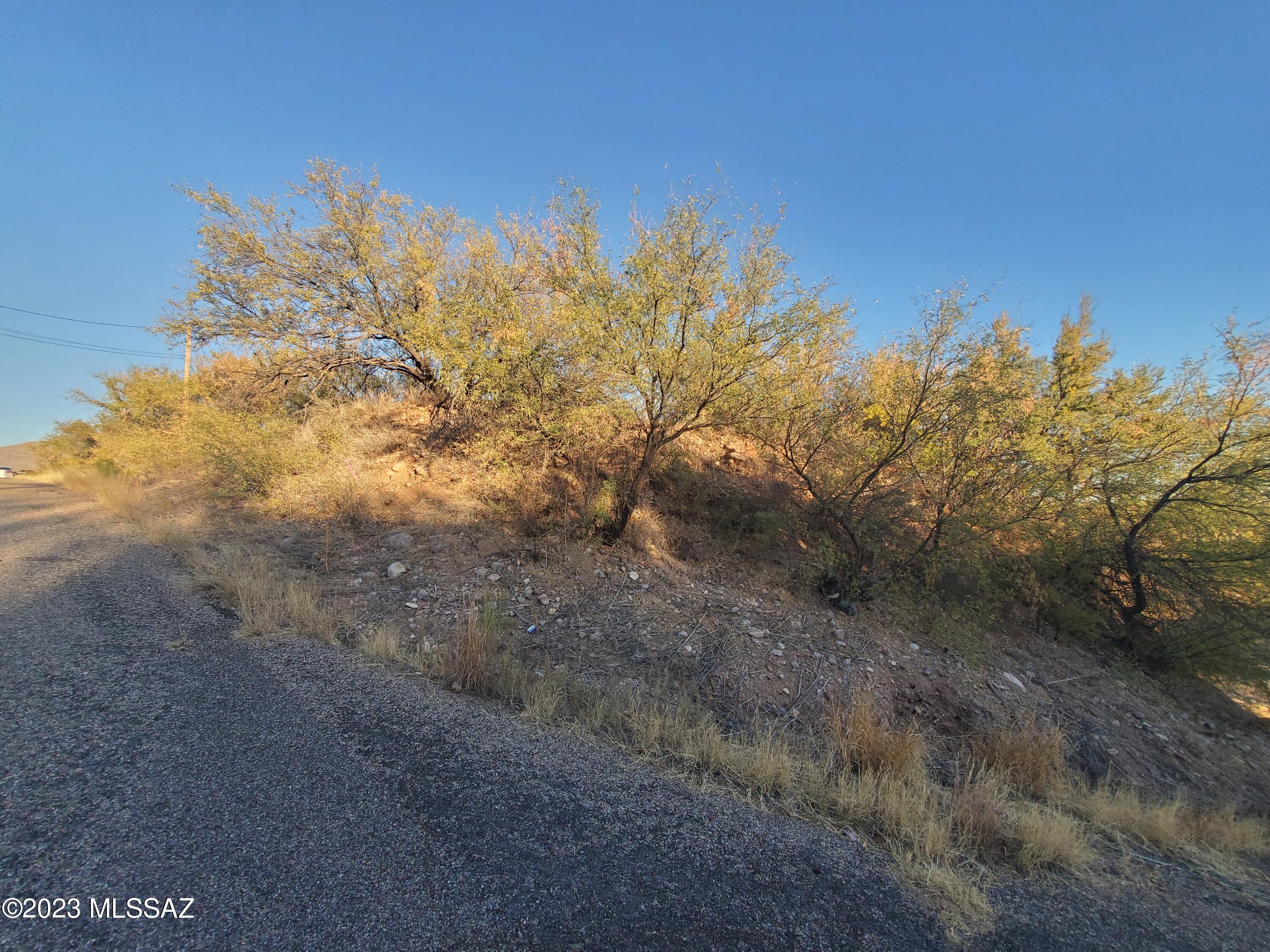 Rio Rico Villas 13 - Land