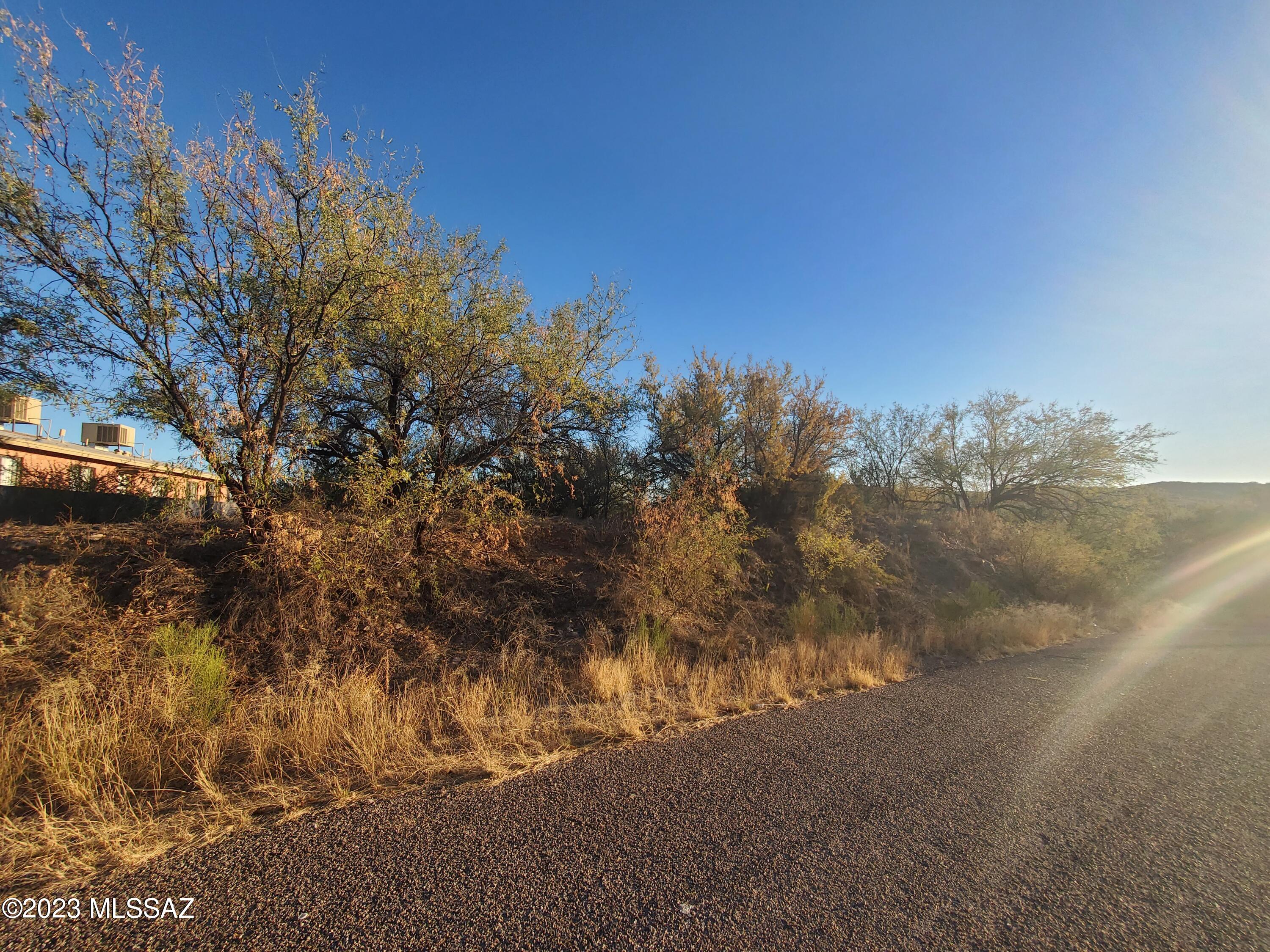 Rio Rico Villas 13 - Land