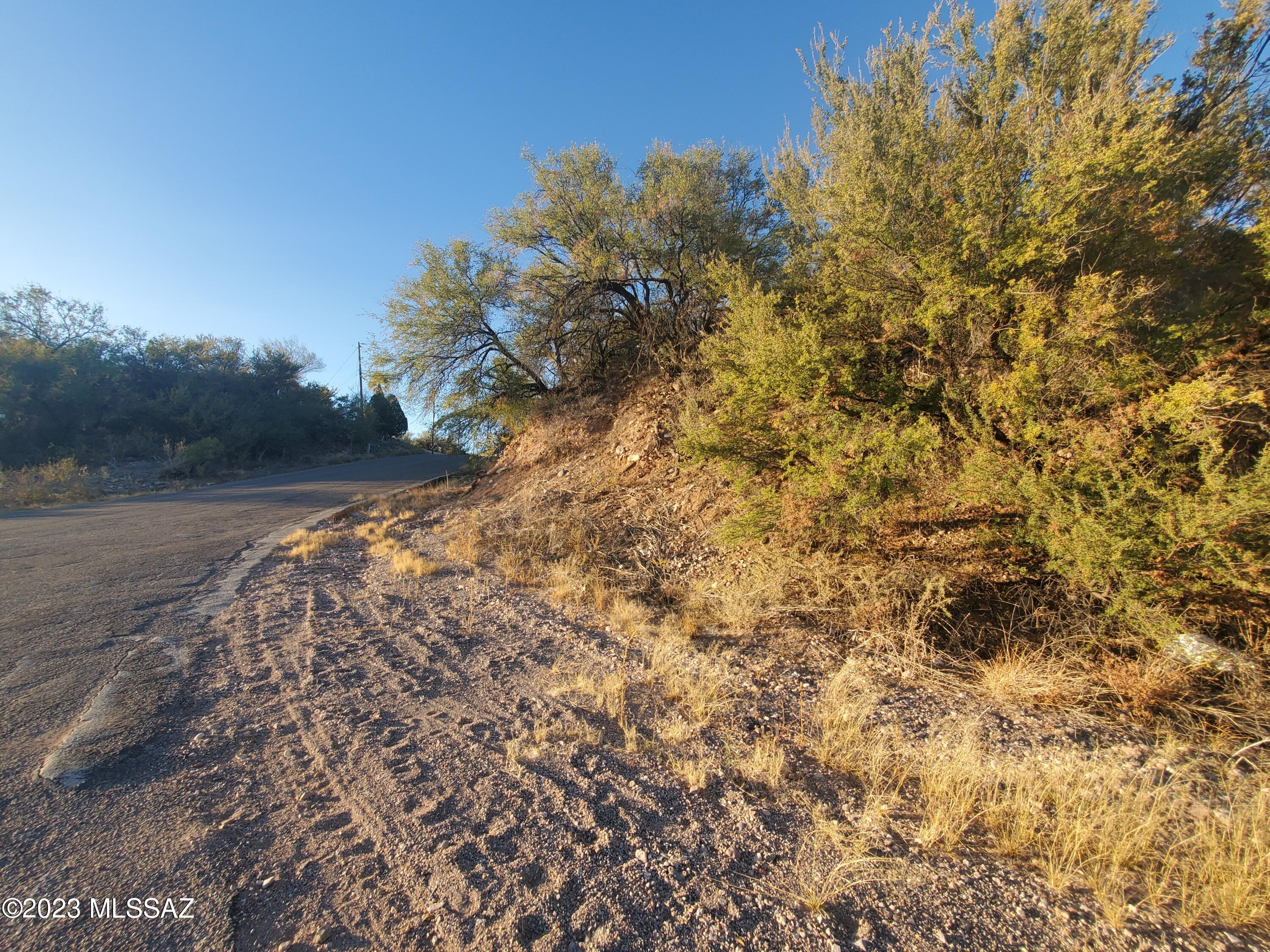Rio Rico Villas 13 - Land