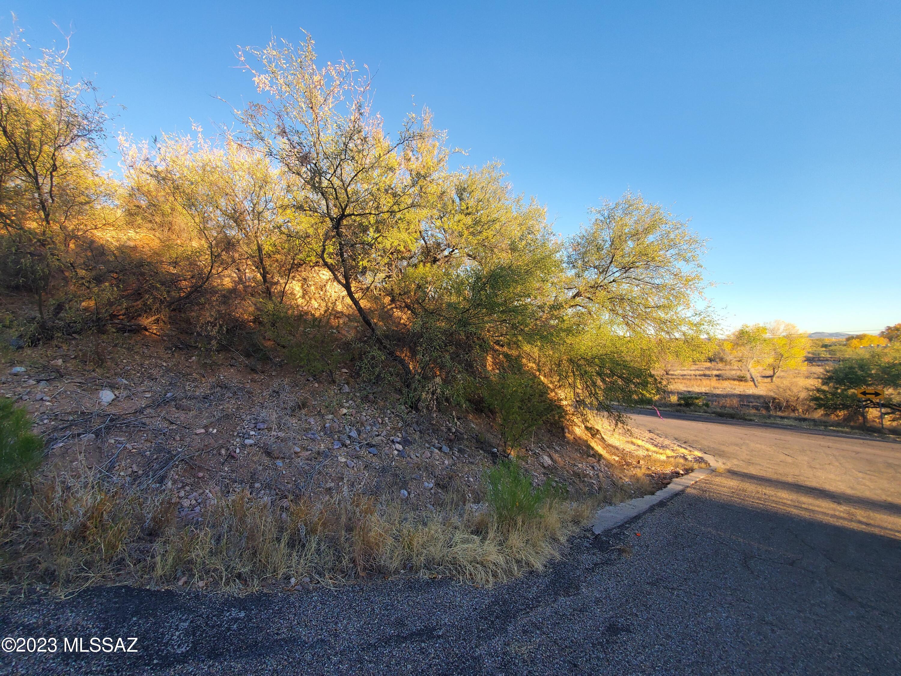 Rio Rico Villas 13 - Land