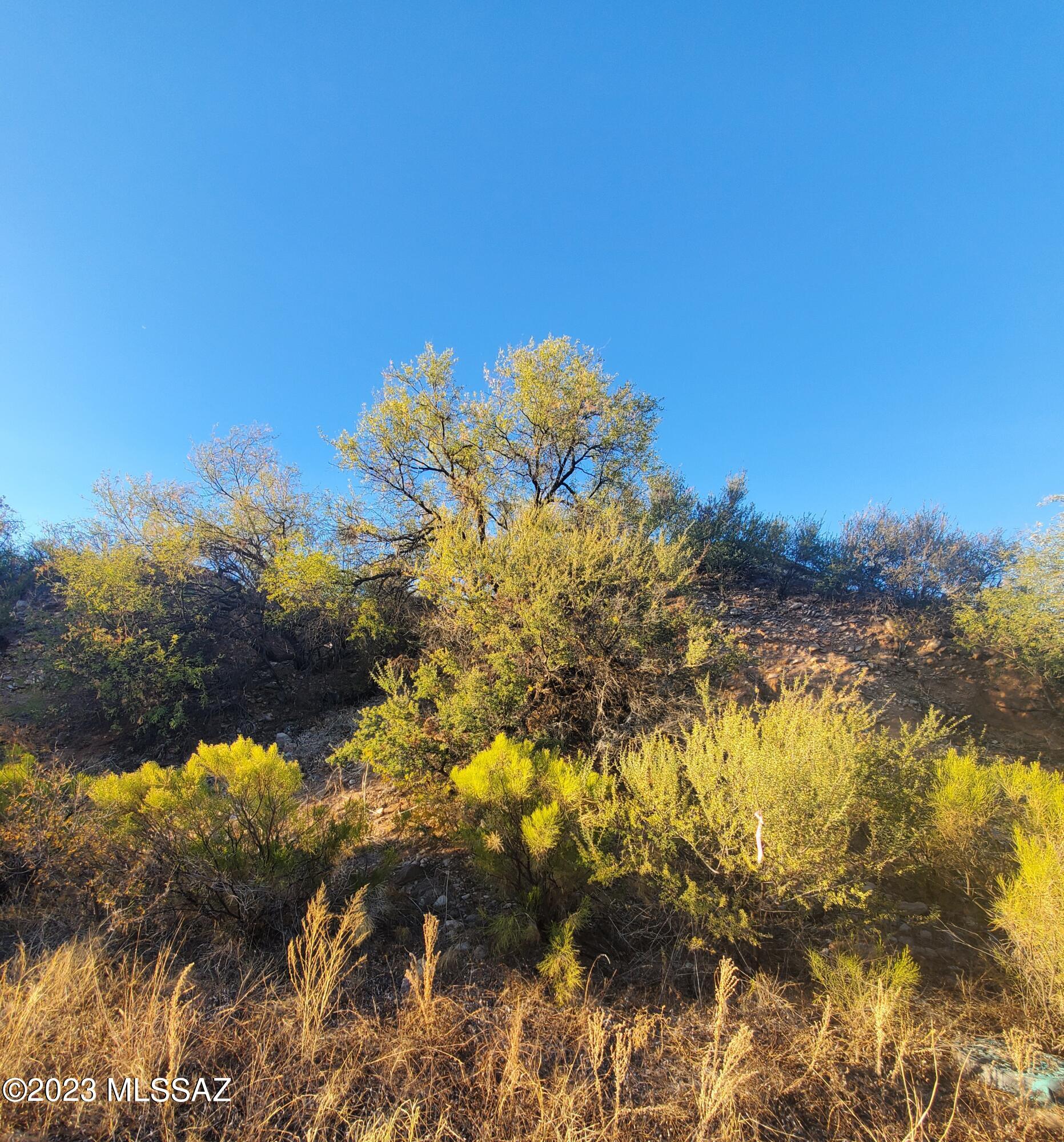 Rio Rico Villas 13 - Land