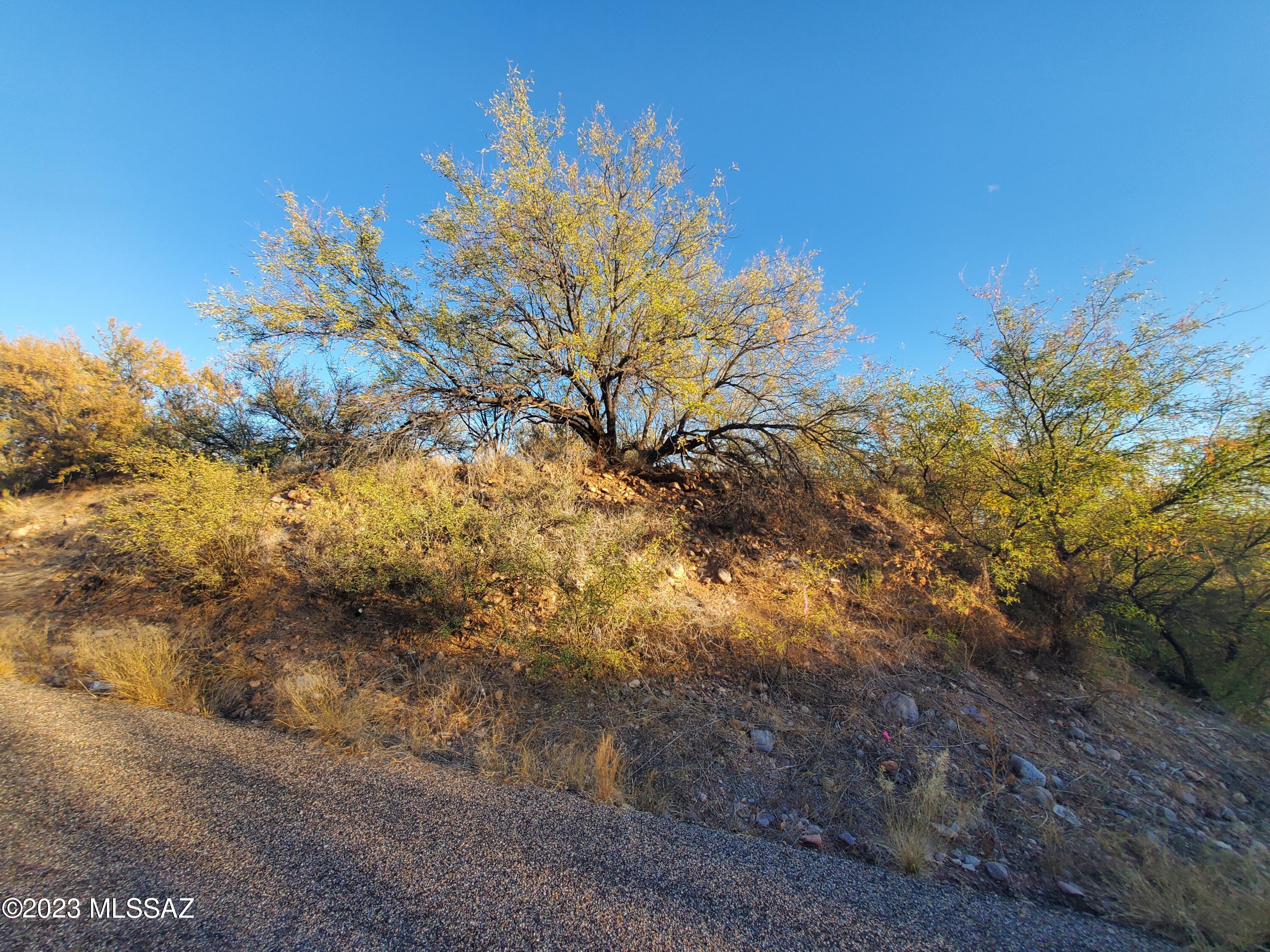 Rio Rico Villas 13 - Land