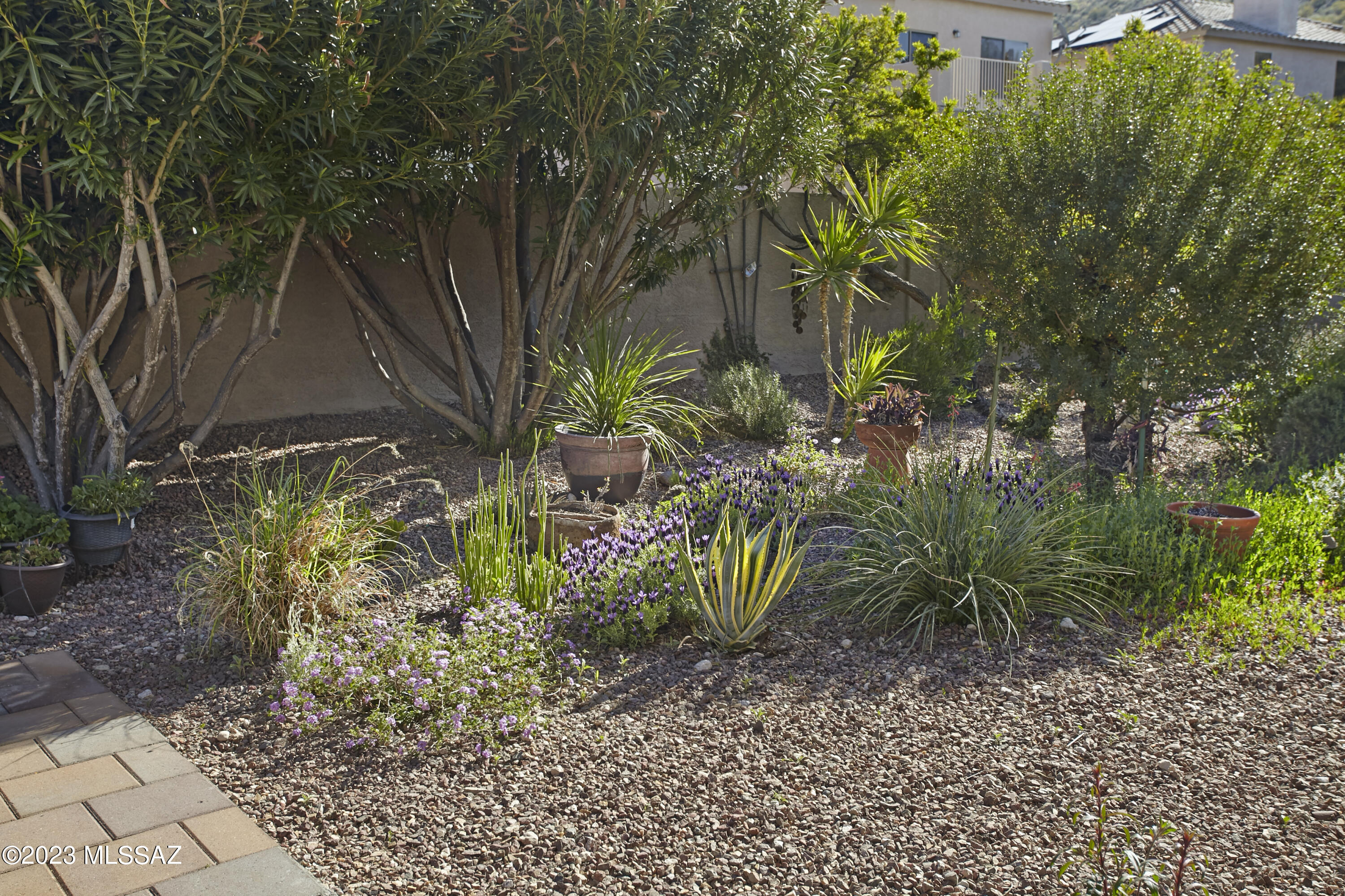 Shadows @ Sabino (1-103) - Residential