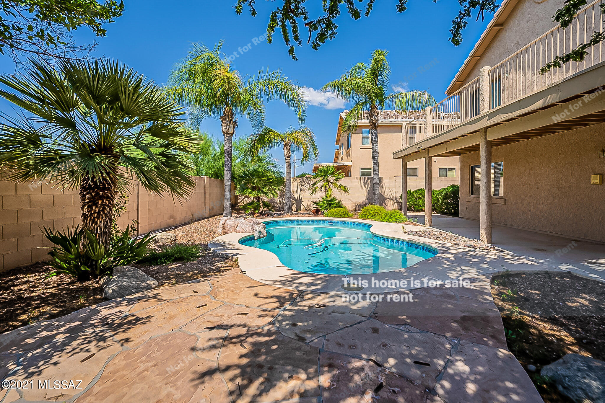 Catalina at Canada Hills (1-61) - Residential