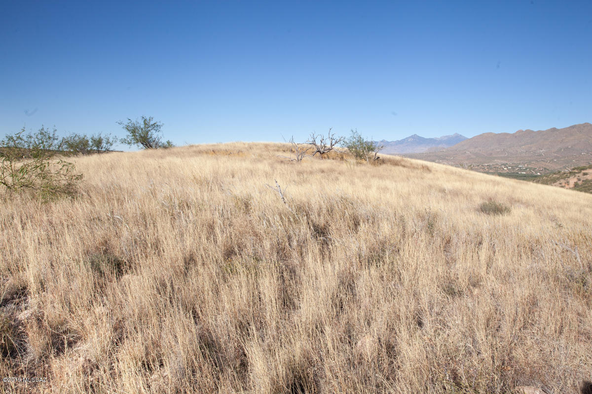 Rio Rico Estates 9 - Land