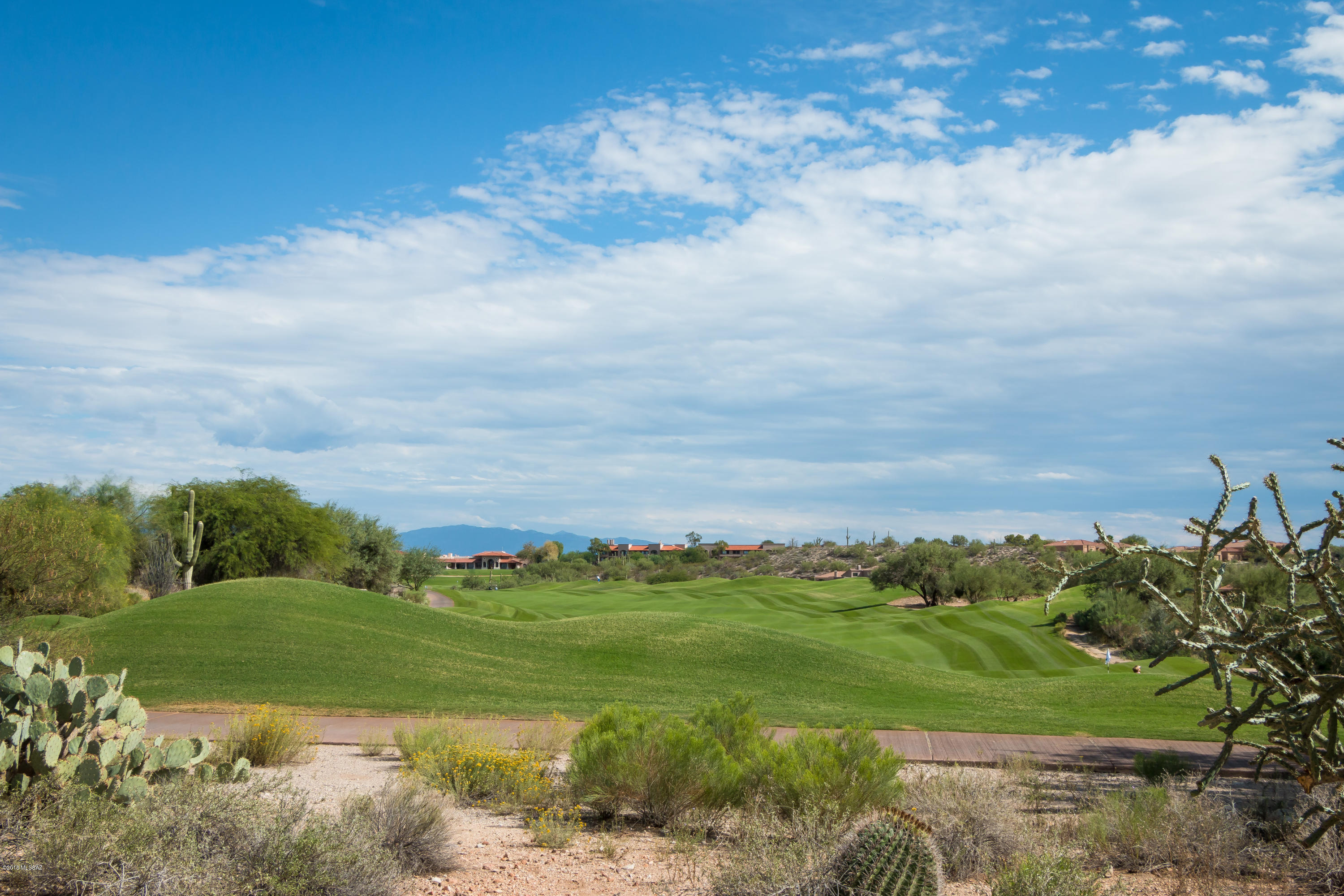 Village Five At the Villages Of La Paloma (1-71) - Residential