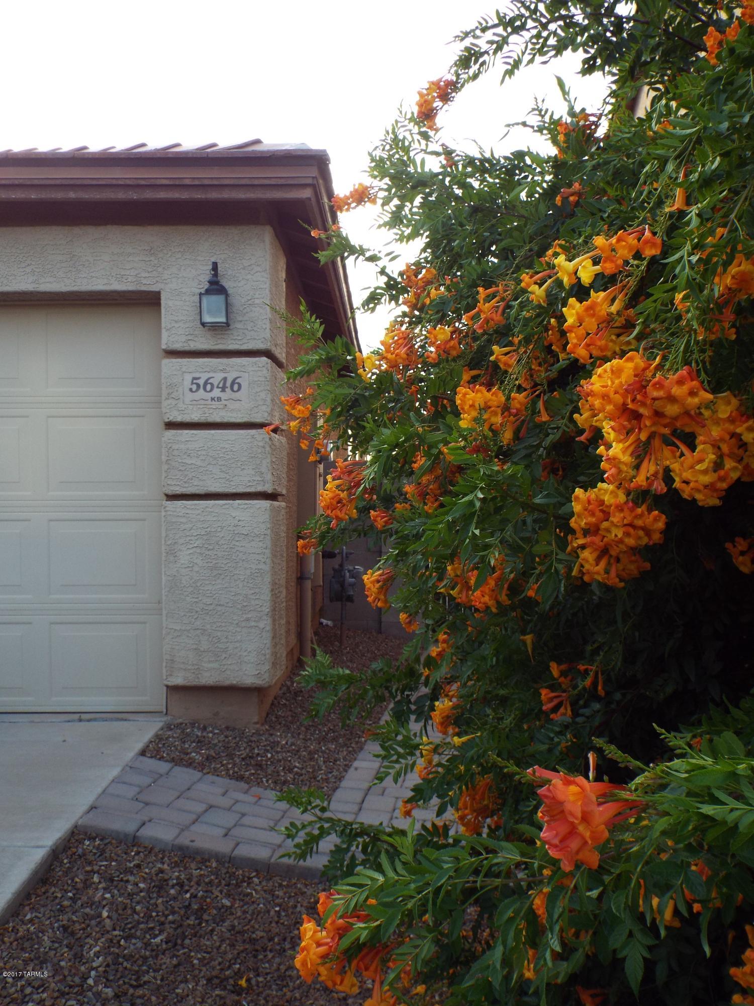 Hartman Vistas-(1-353) - Residential