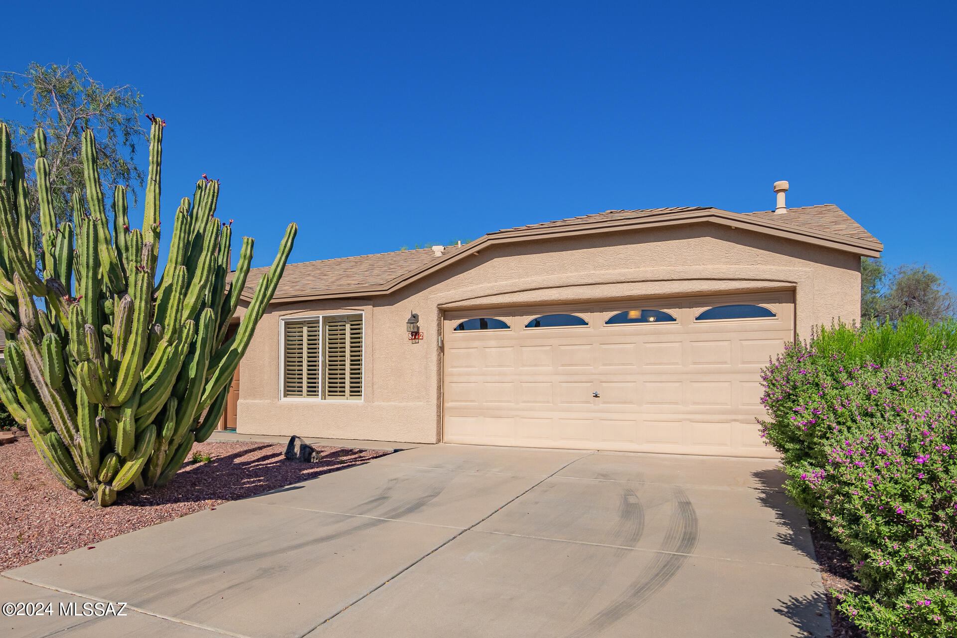 Beautiful 3-bedroom 2 bath home located in Northwest Tucson's Continental Reserve! Open floor plan with tile flooring, fireplace, plantation shutters, high ceilings and lots of natural light.  Kitchen has plenty of room for island/seating, and features stainless steel appliances. 2-Car Garage with built-in storage cabinets. Spacious backyard with mature Palo Verde tree with lots of shade, citrus trees, and covered patio! Great location, close to freeway, grocery stores, coffee shops, hiking trails, and more!