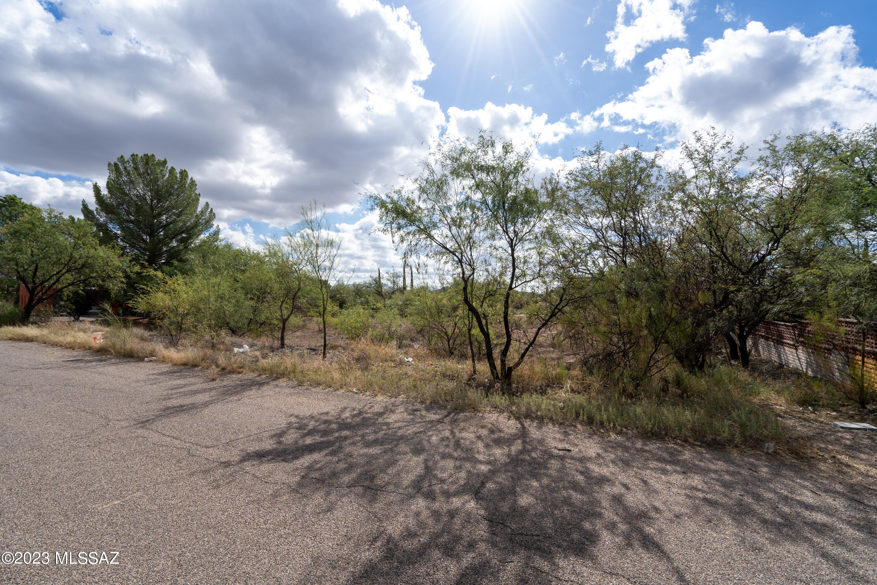 Rio Rico Unit 3 - Land