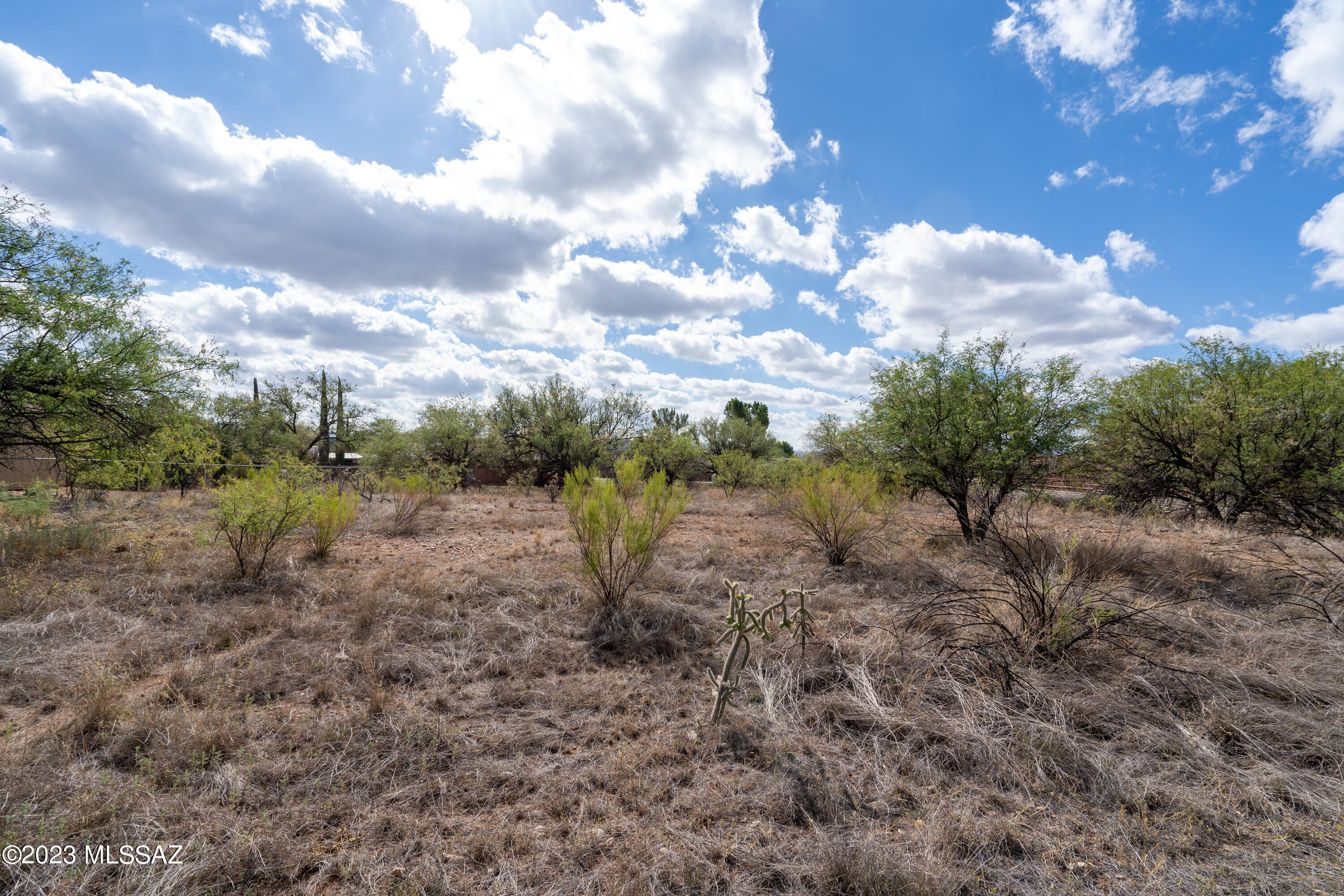 Rio Rico Unit 3 - Land