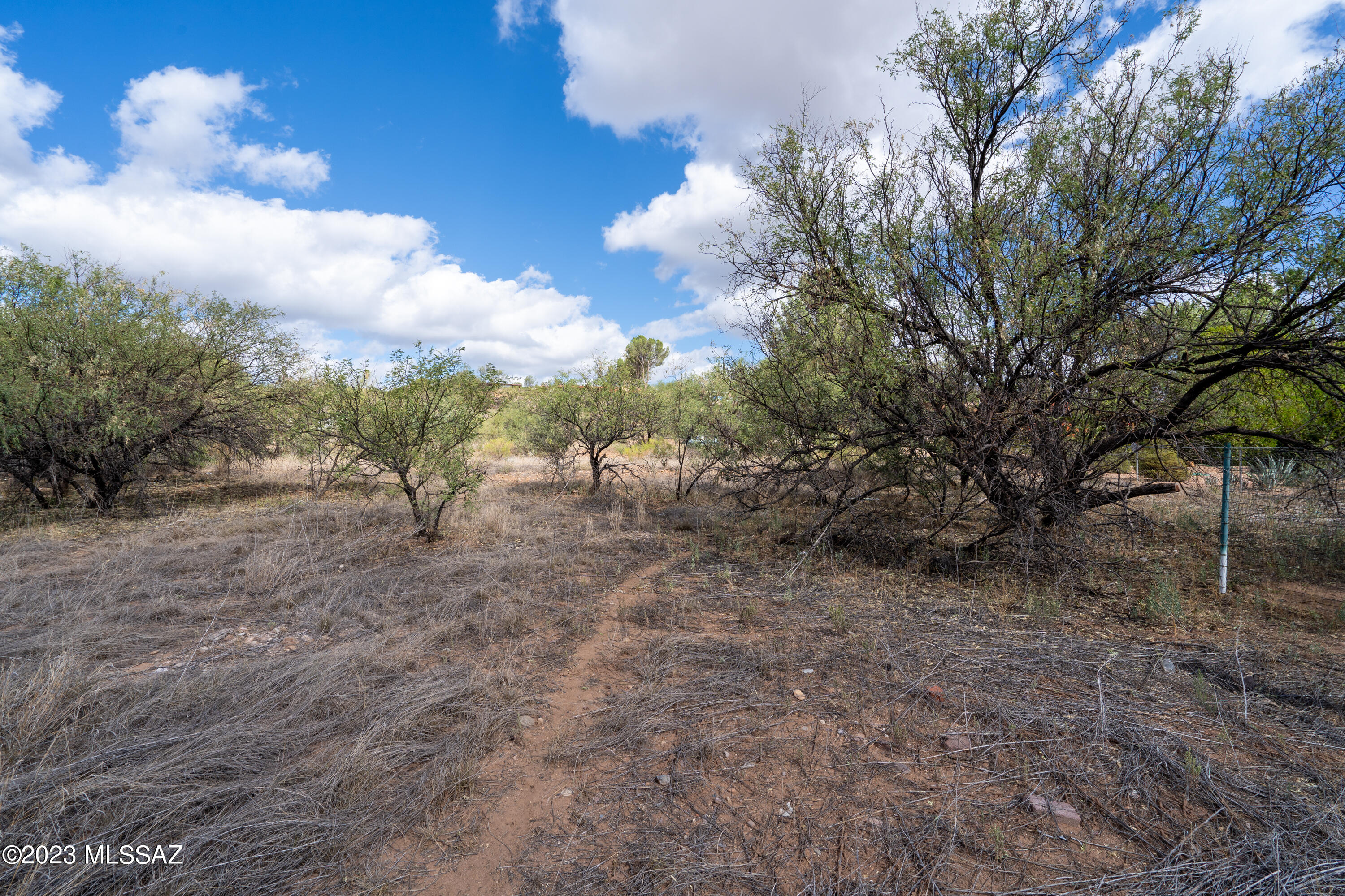 Rio Rico Unit 3 - Land