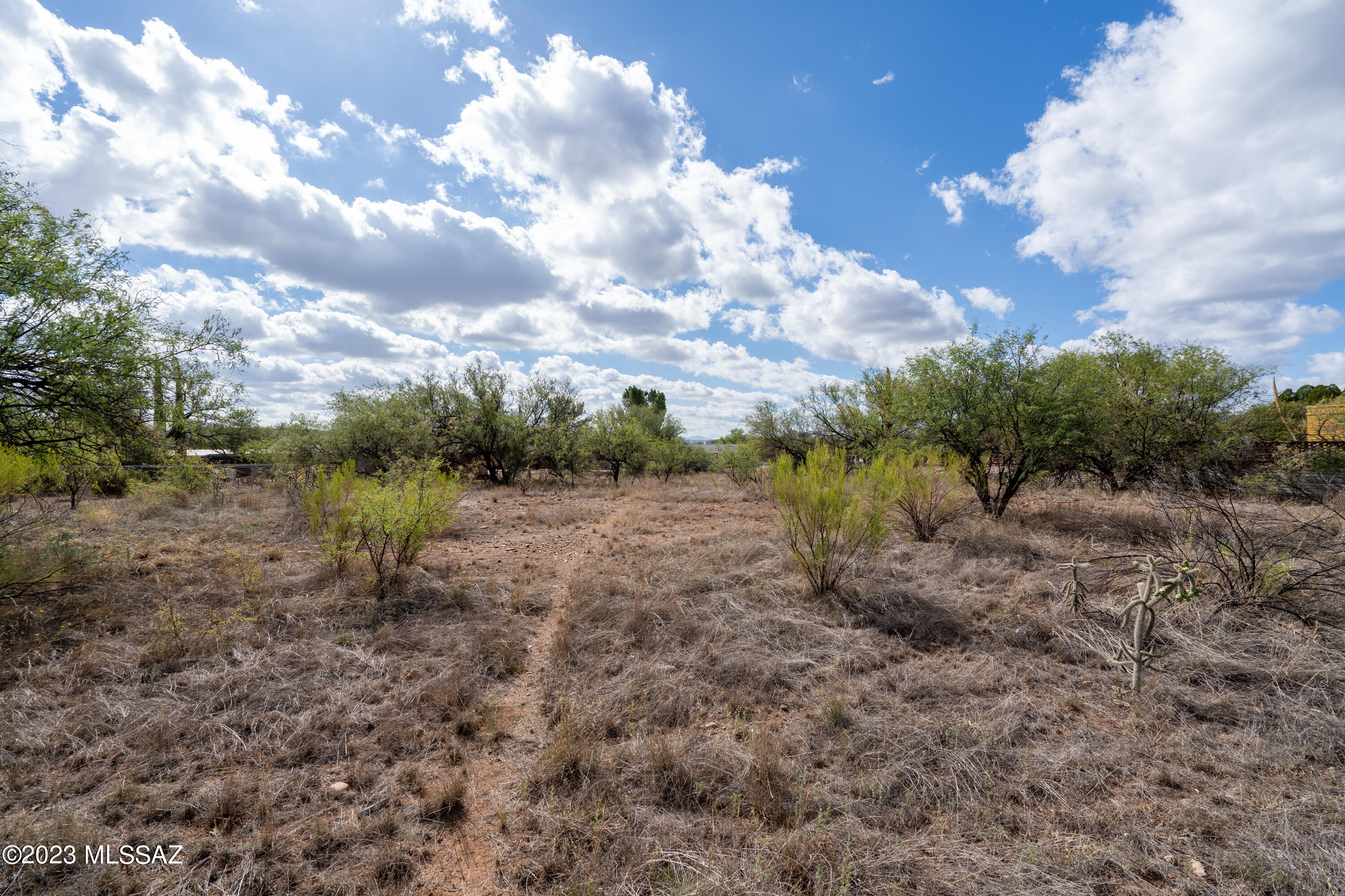 Rio Rico Unit 3 - Land