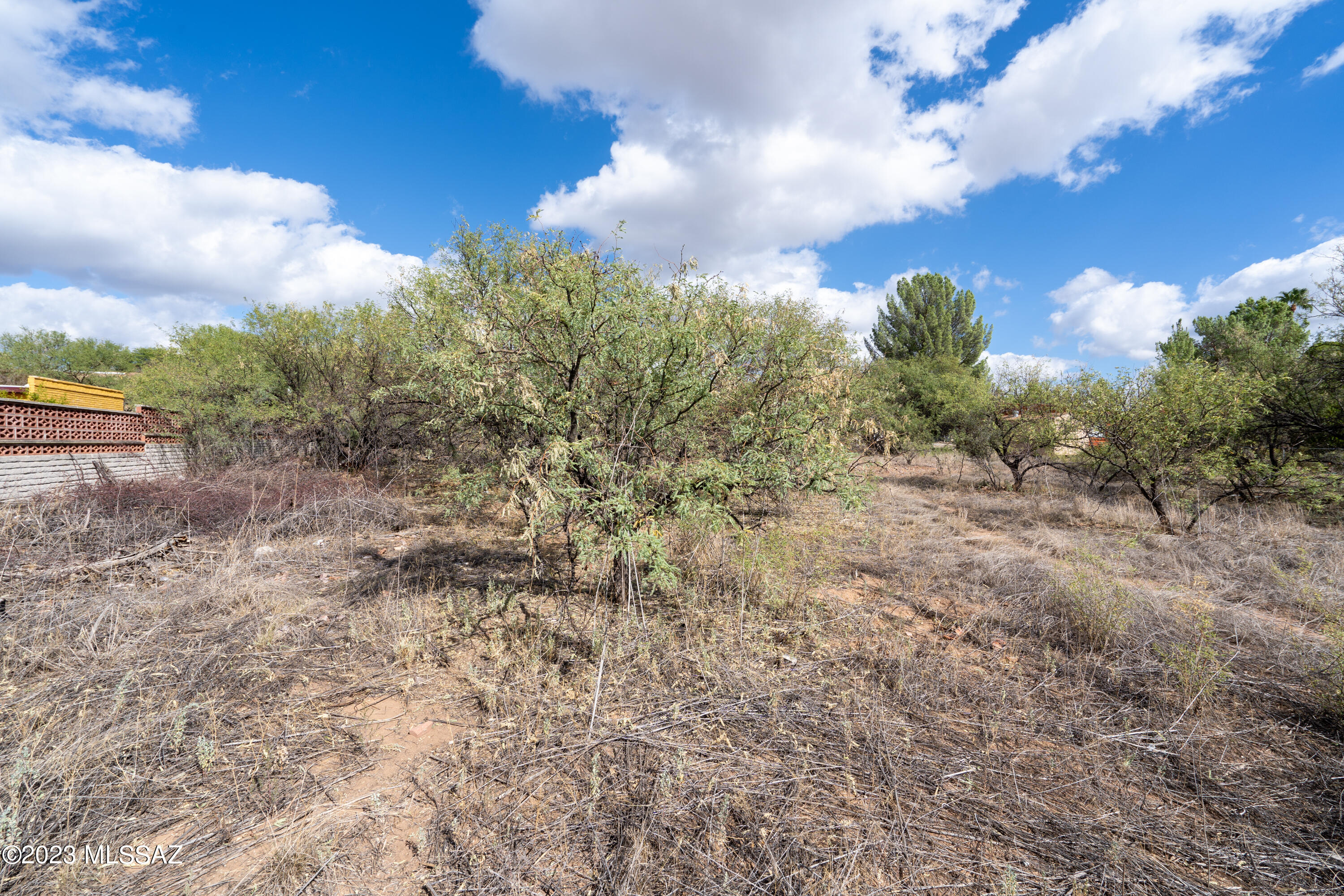 Rio Rico Unit 3 - Land