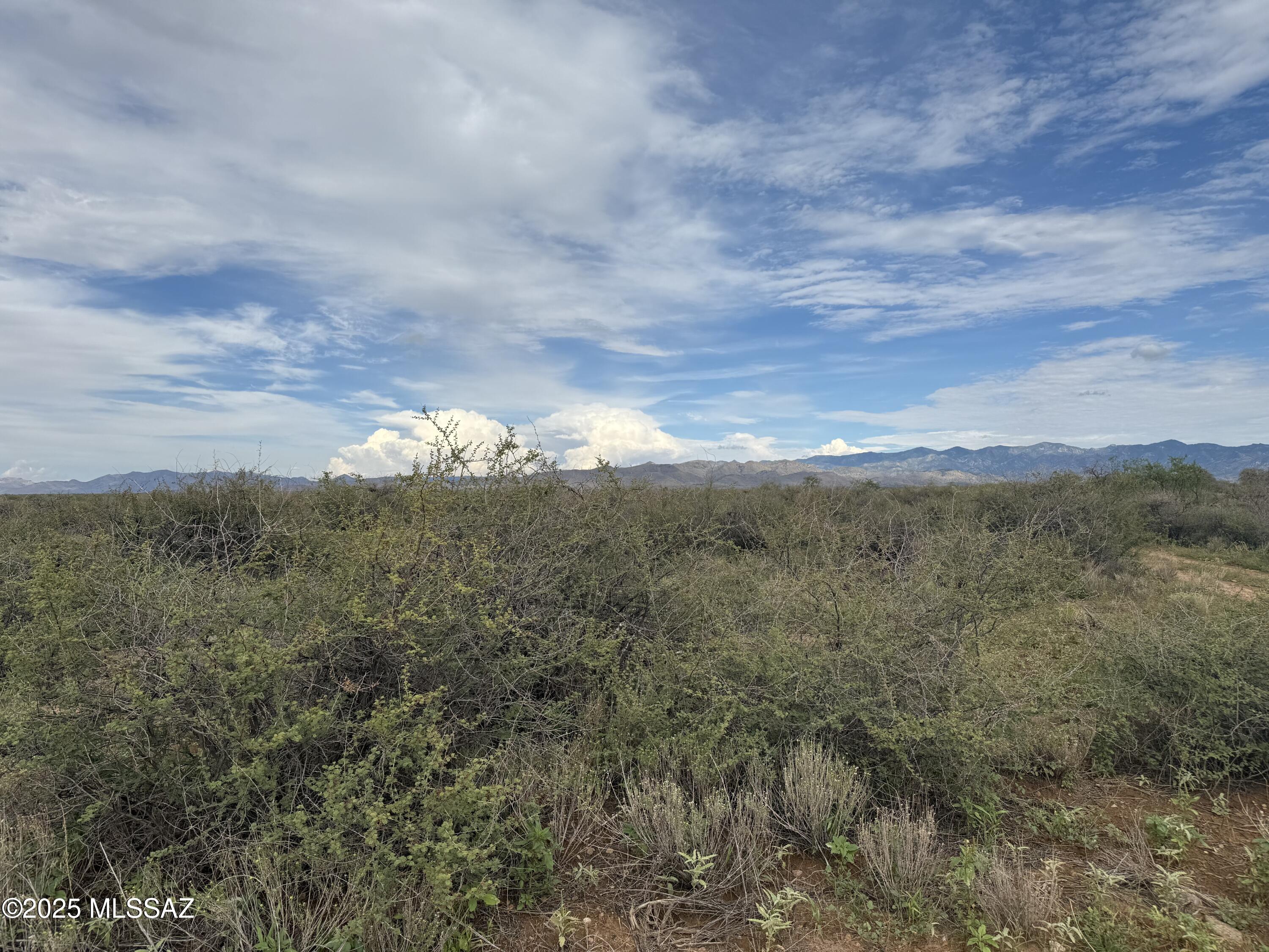 Relatively flat parcel of land with beautiful views of the Chiricahua Mountains waiting for you to build your home on. Will need high profile vehicle or 4 wheel drive to see the property.