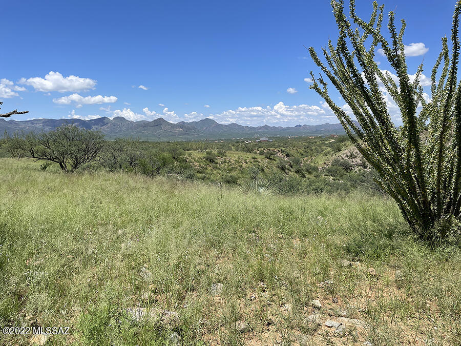 Rio Rico Ranchettes 18 - Land