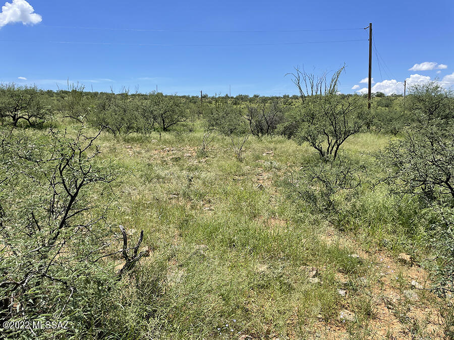 Rio Rico Ranchettes 18 - Land