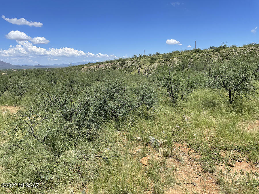 Rio Rico Ranchettes 18 - Land