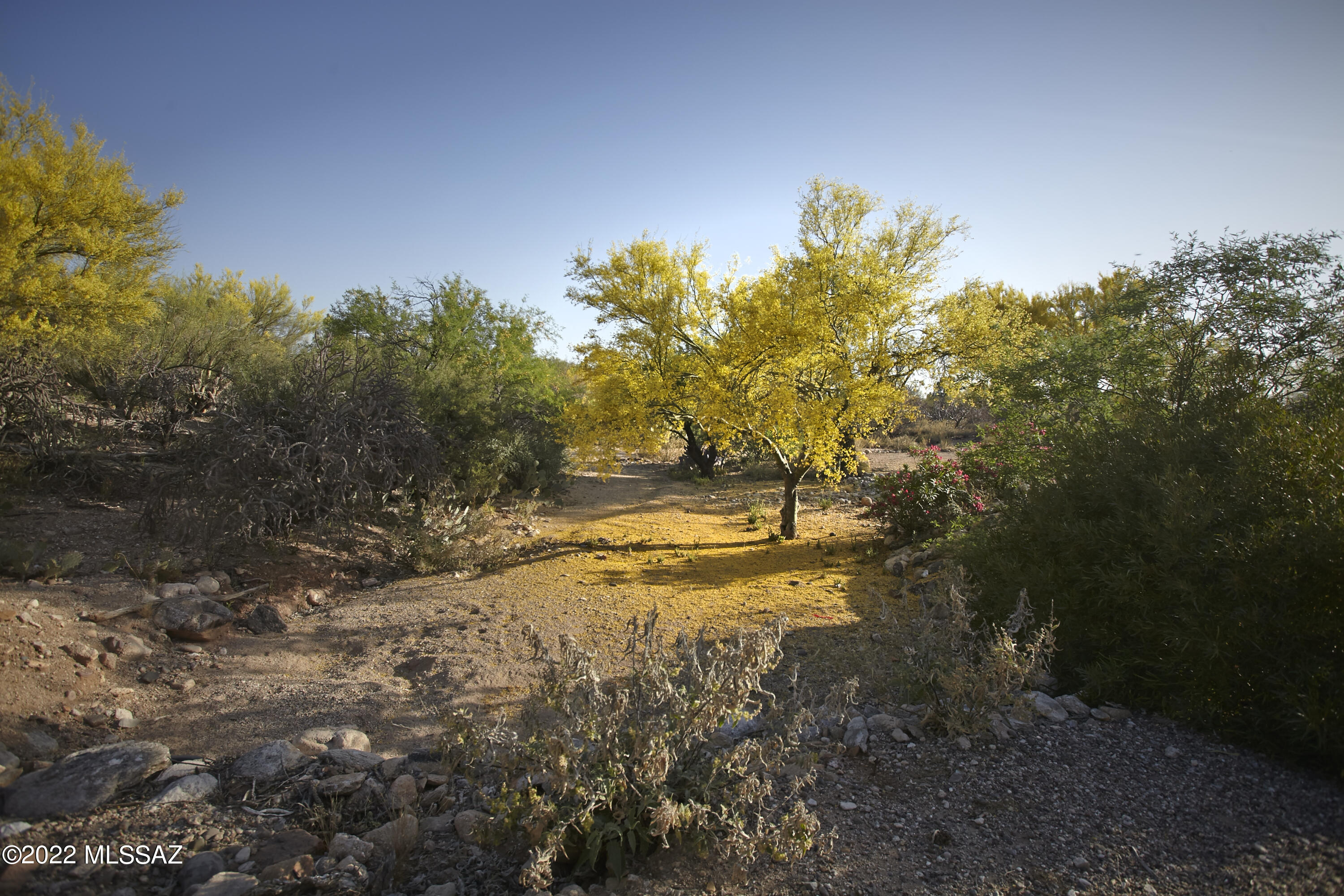 Catalina Foothills Estates - Residential