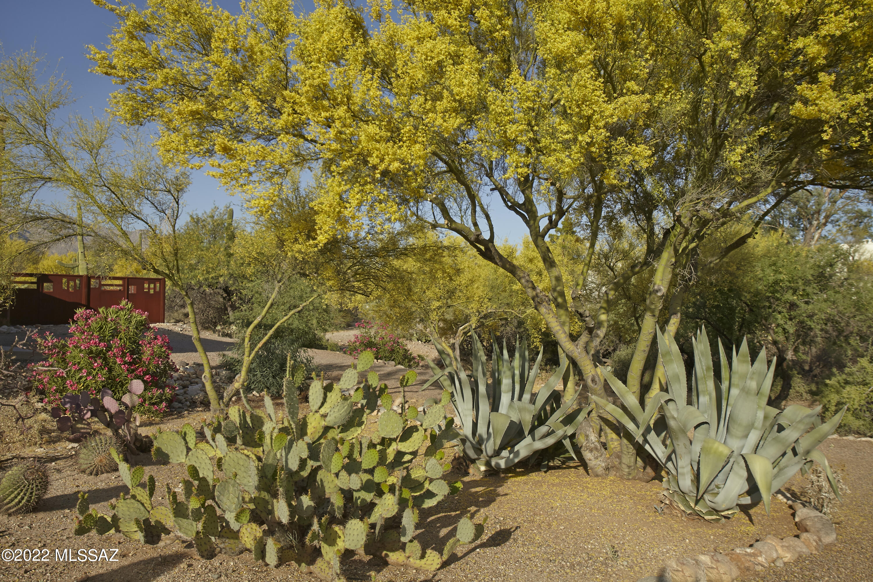 Catalina Foothills Estates - Residential