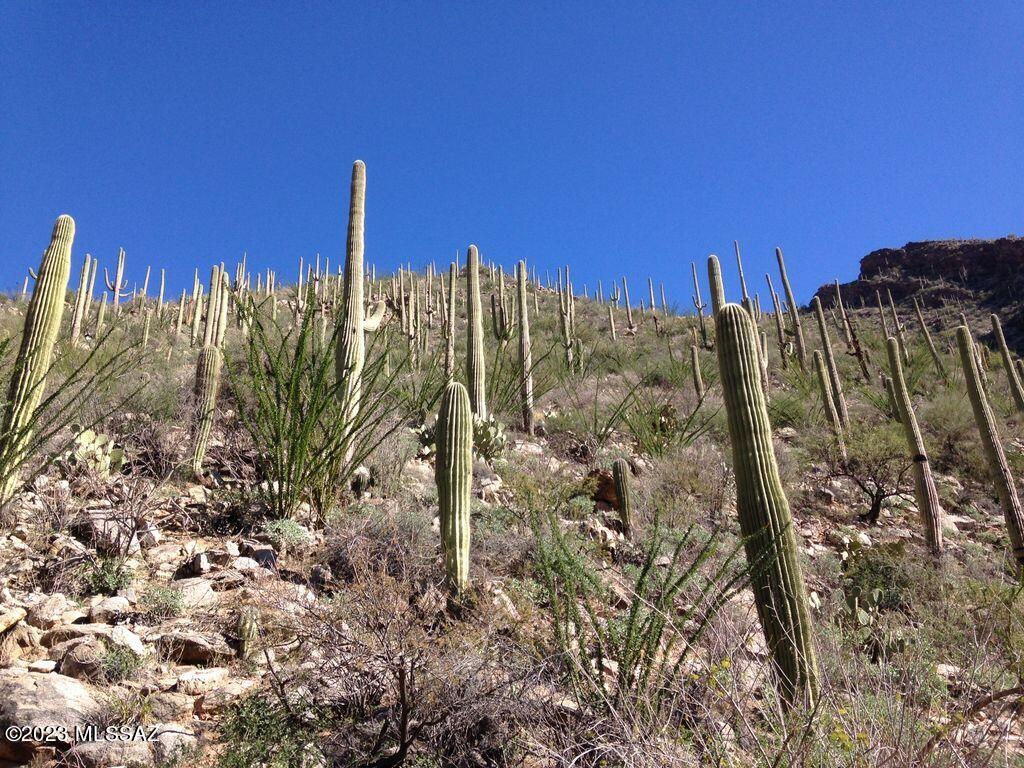 Canyon View At Ventana Condominium (1-264) - Residential
