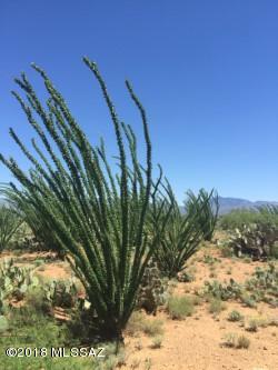 Rincon View Estates (1-87) - Land
