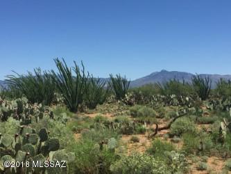 Rincon View Estates (1-87) - Land