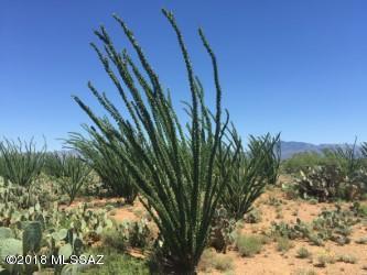 Rincon View Estates (1-87) - Land