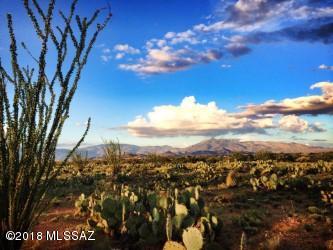 Rincon View Estates (1-87) - Land