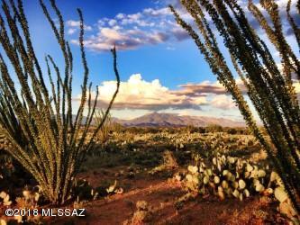 Rincon View Estates (1-87) - Land