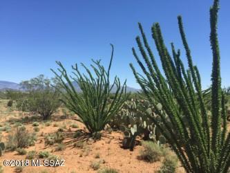 Rincon View Estates (1-87) - Land