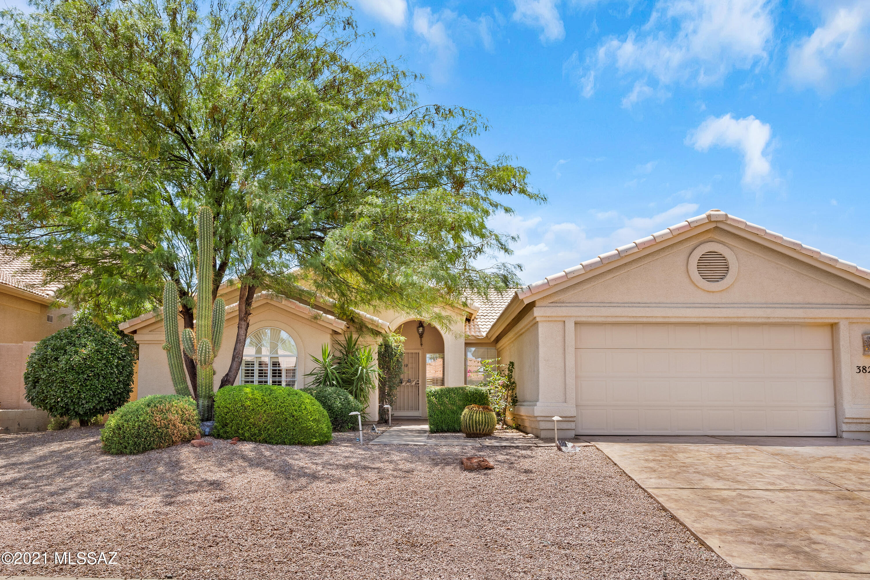 Saddlebrooke - Residential