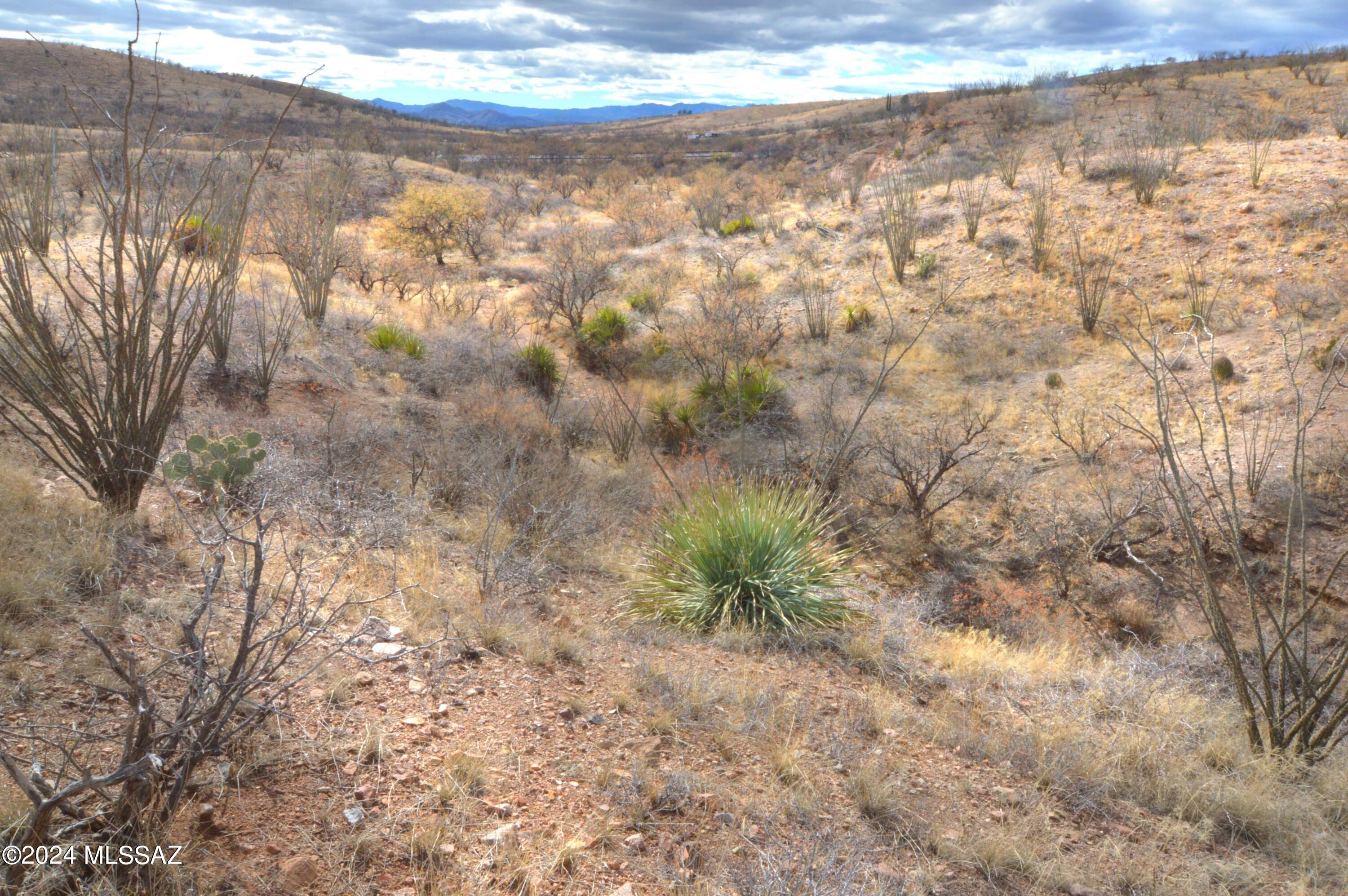 Lake Patagonia Ranch - Land