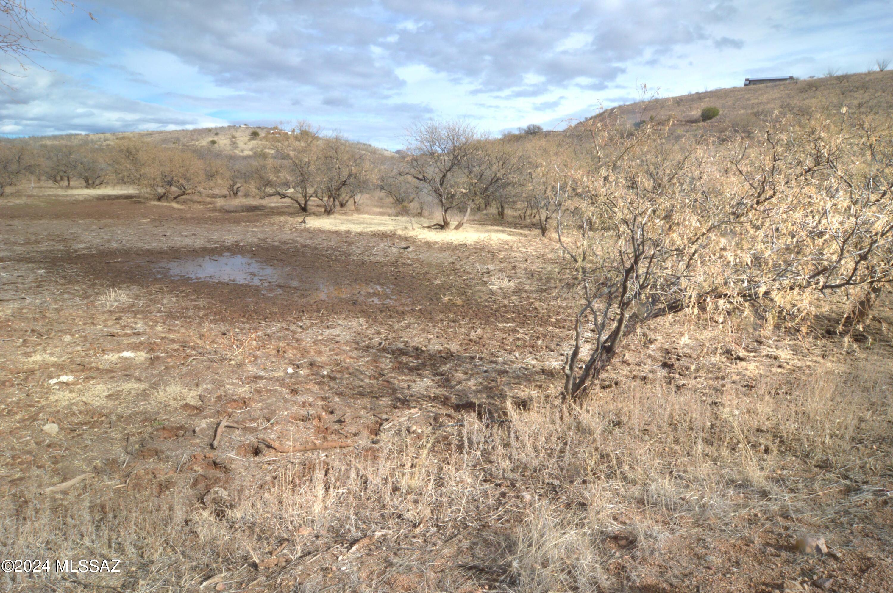 Lake Patagonia Ranch - Land