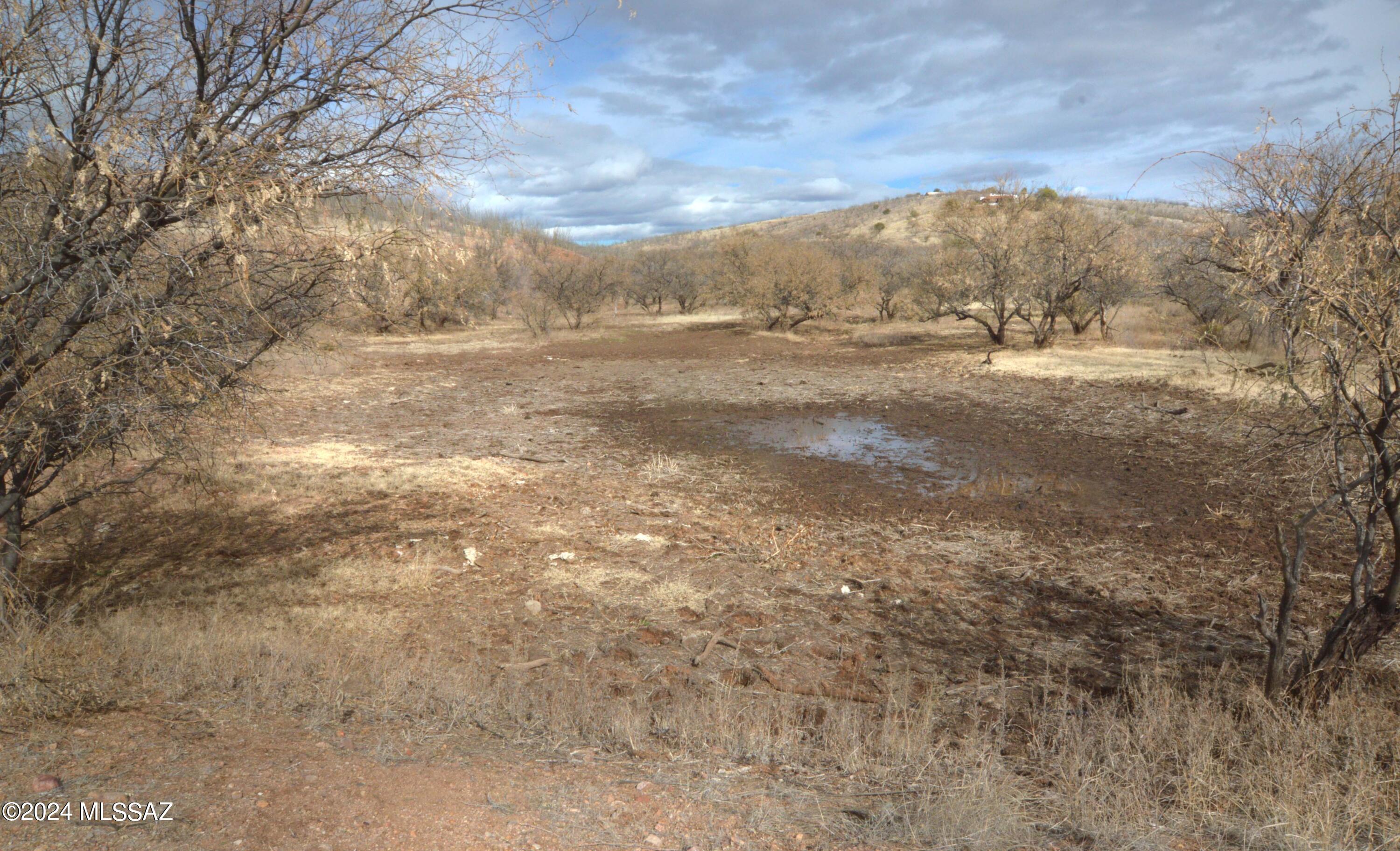 Lake Patagonia Ranch - Land
