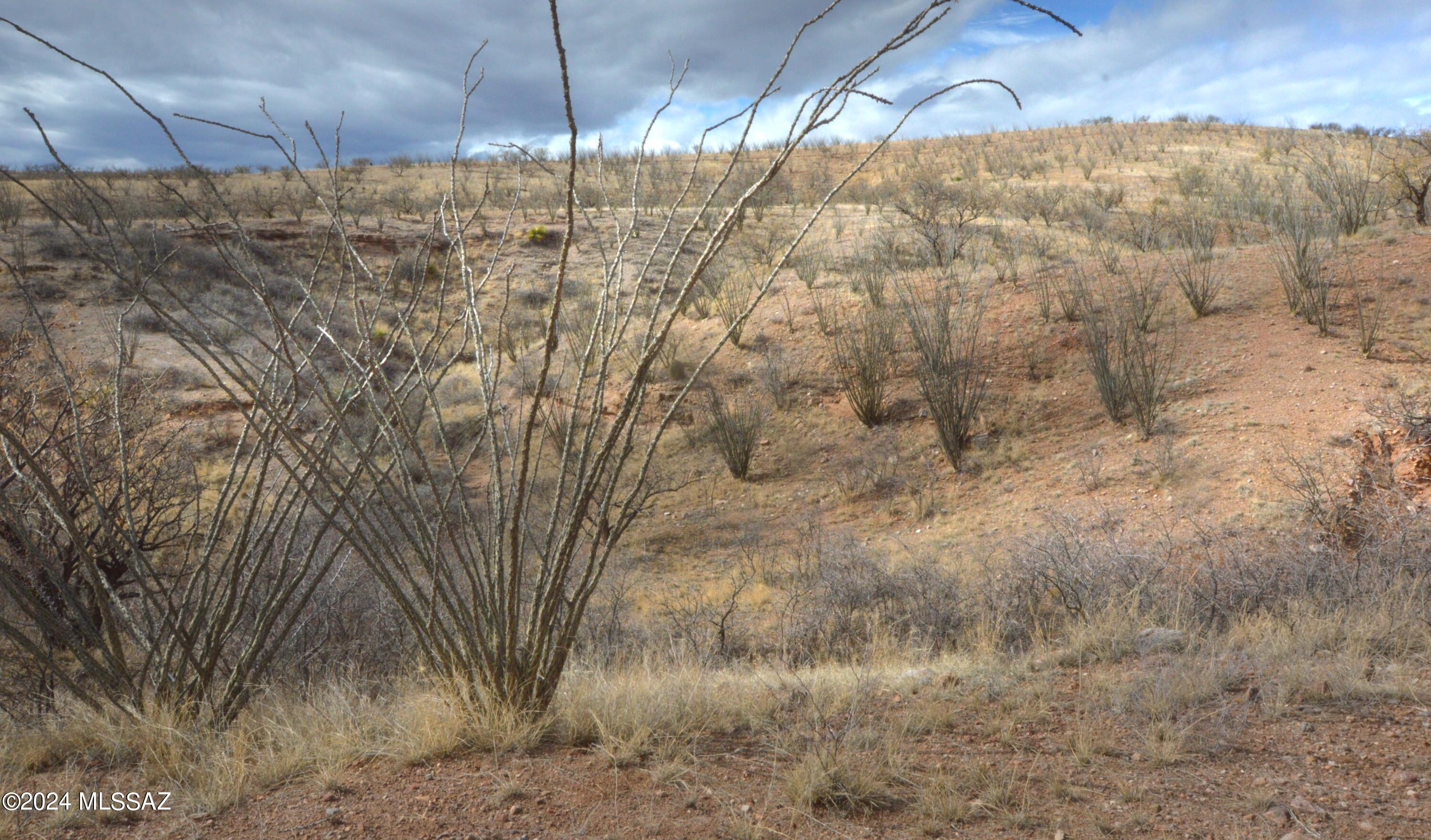 Lake Patagonia Ranch - Land