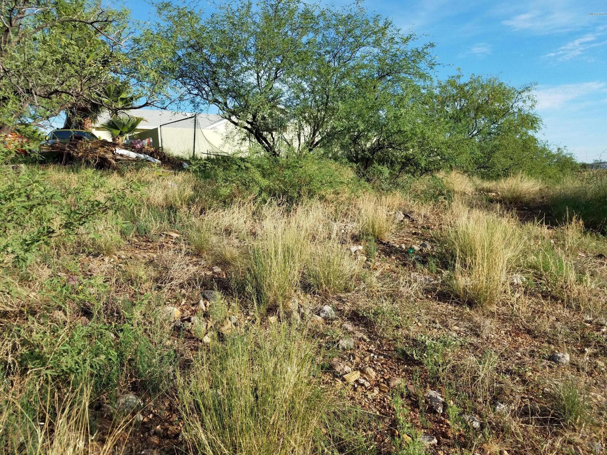Rio Rico Estates 8 - Land
